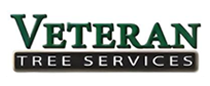 Logo for Veteran Tree Services featuring green text above a black rectangle containing the white text "TREE SERVICES".