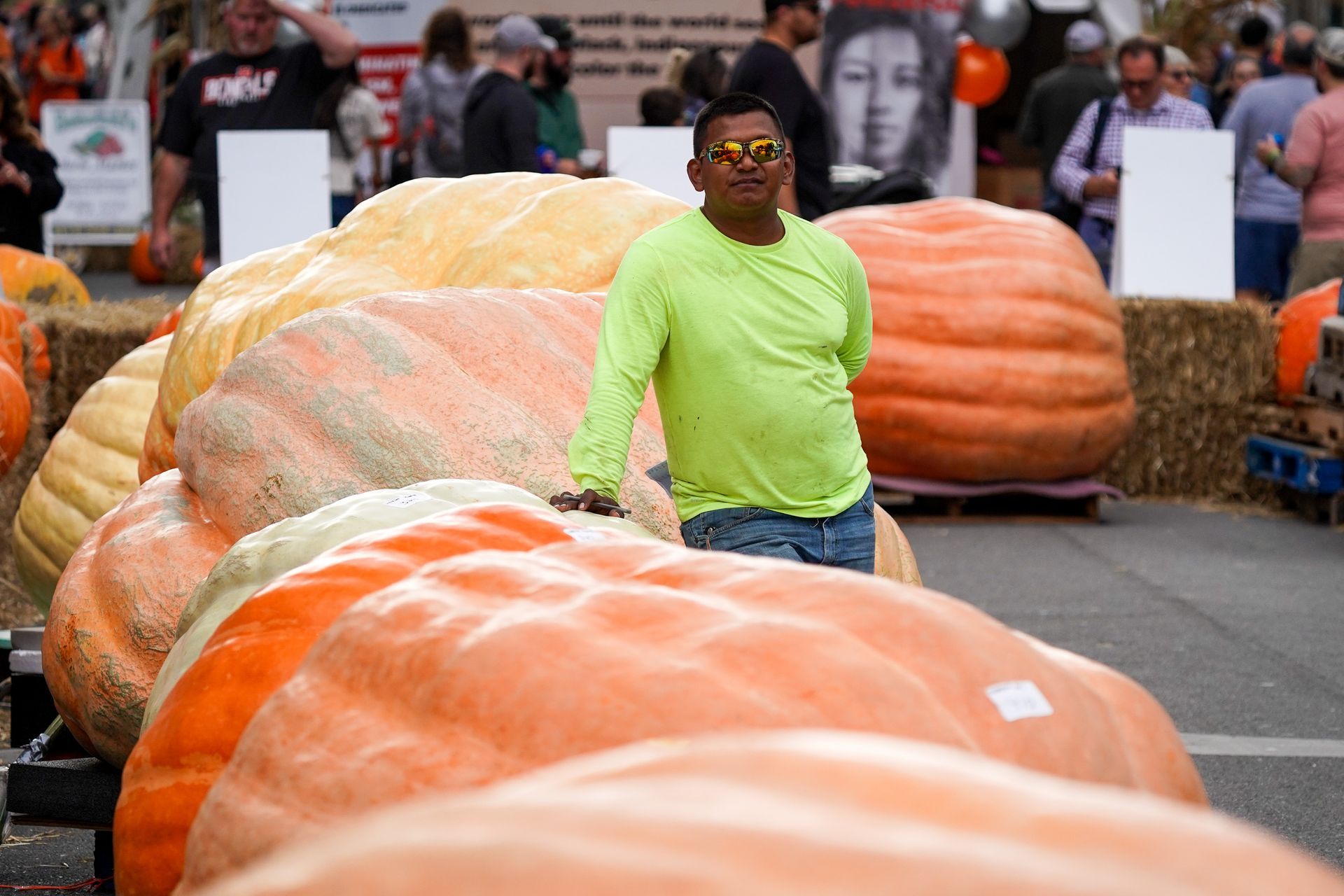 a kid in a middle of a bunch of pumpkins