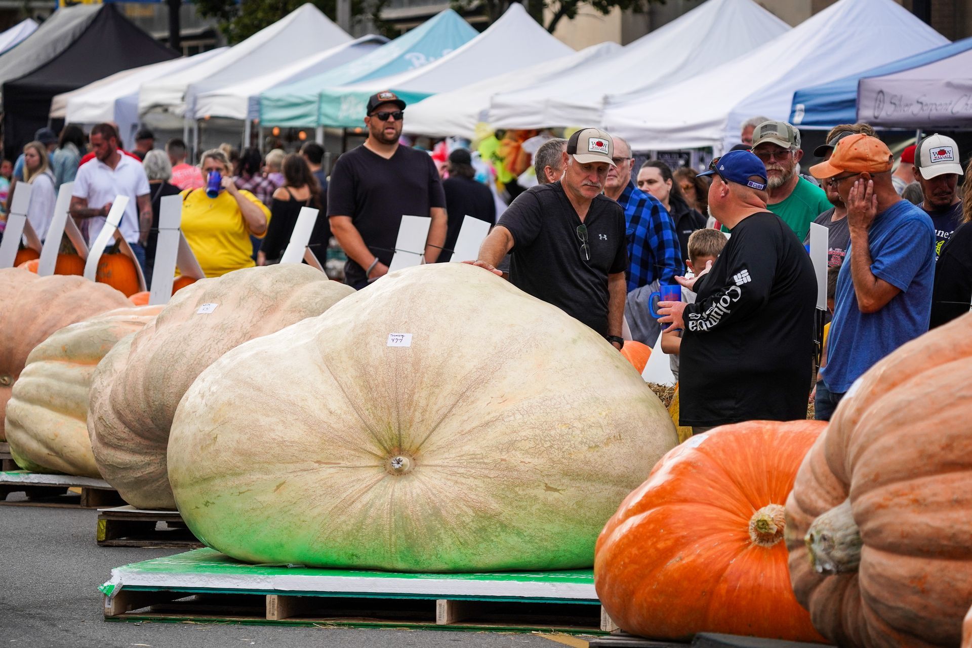 a very large pumpkin