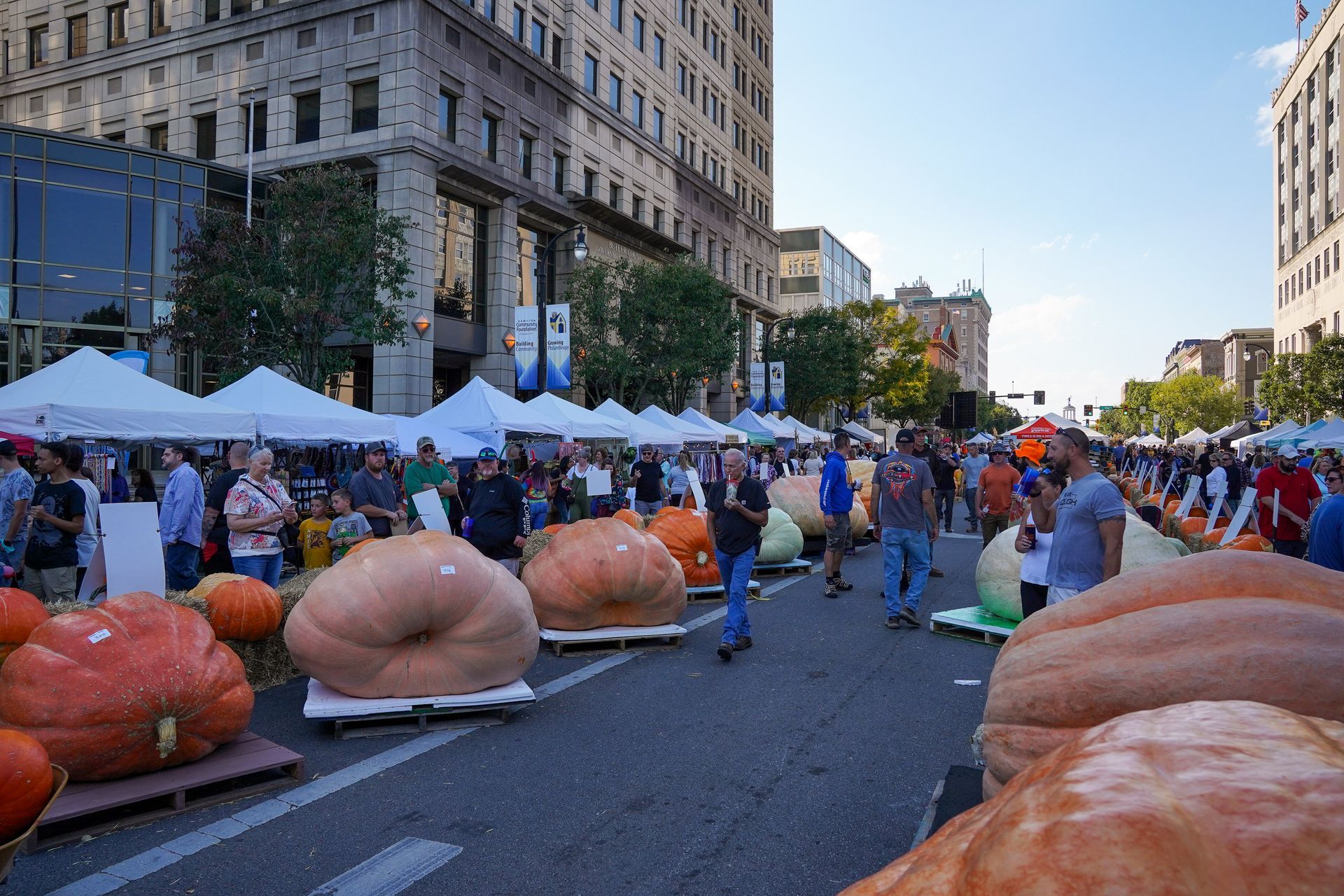 a bunch of pumpkins are lined up on the side of a street