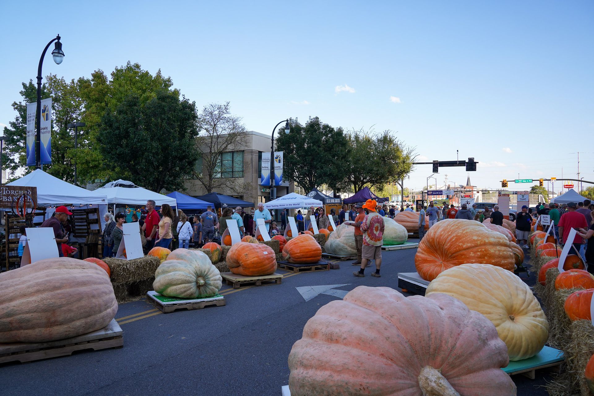pumpkin lying in street