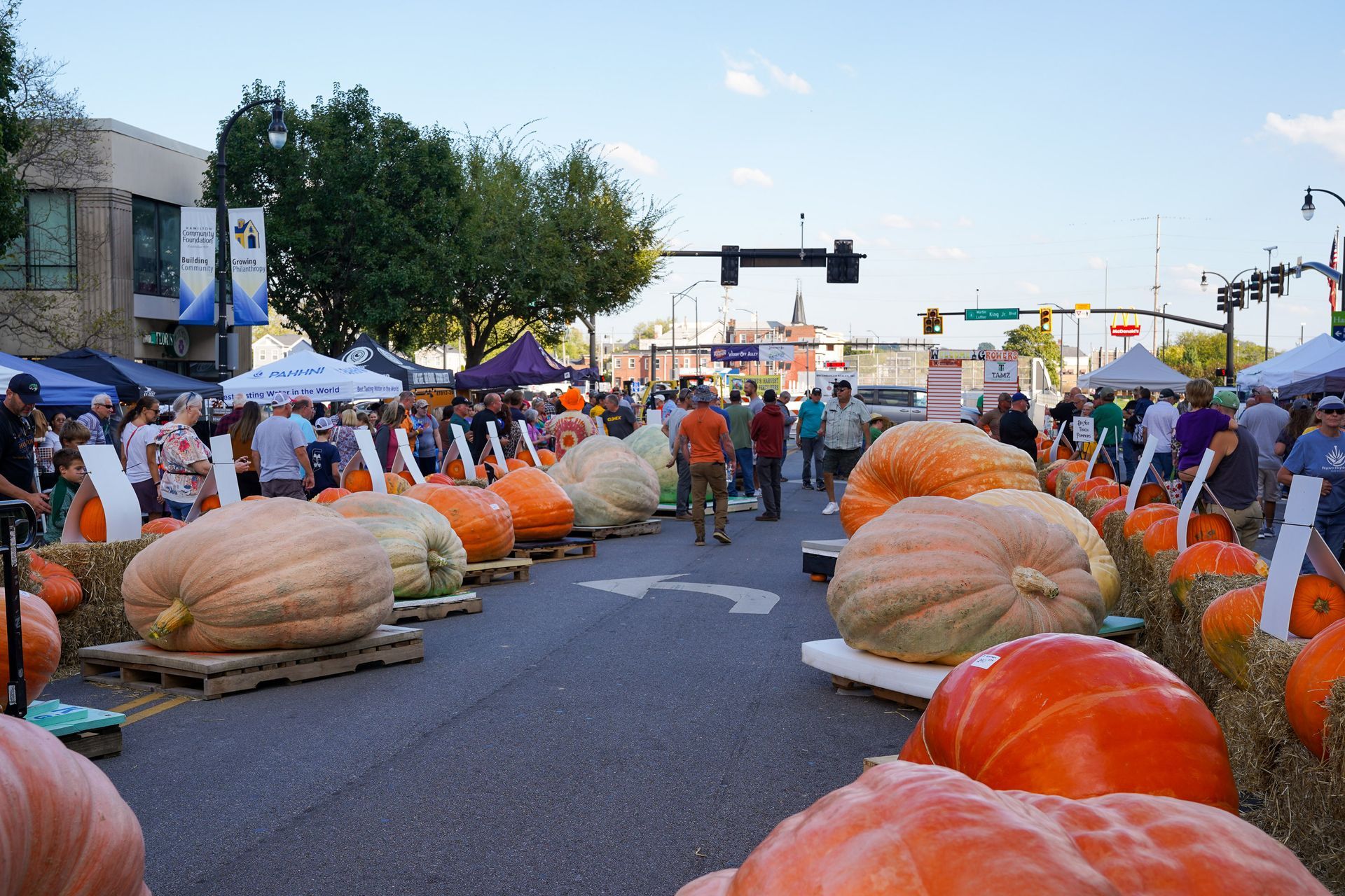 bunch of pumpkin in street