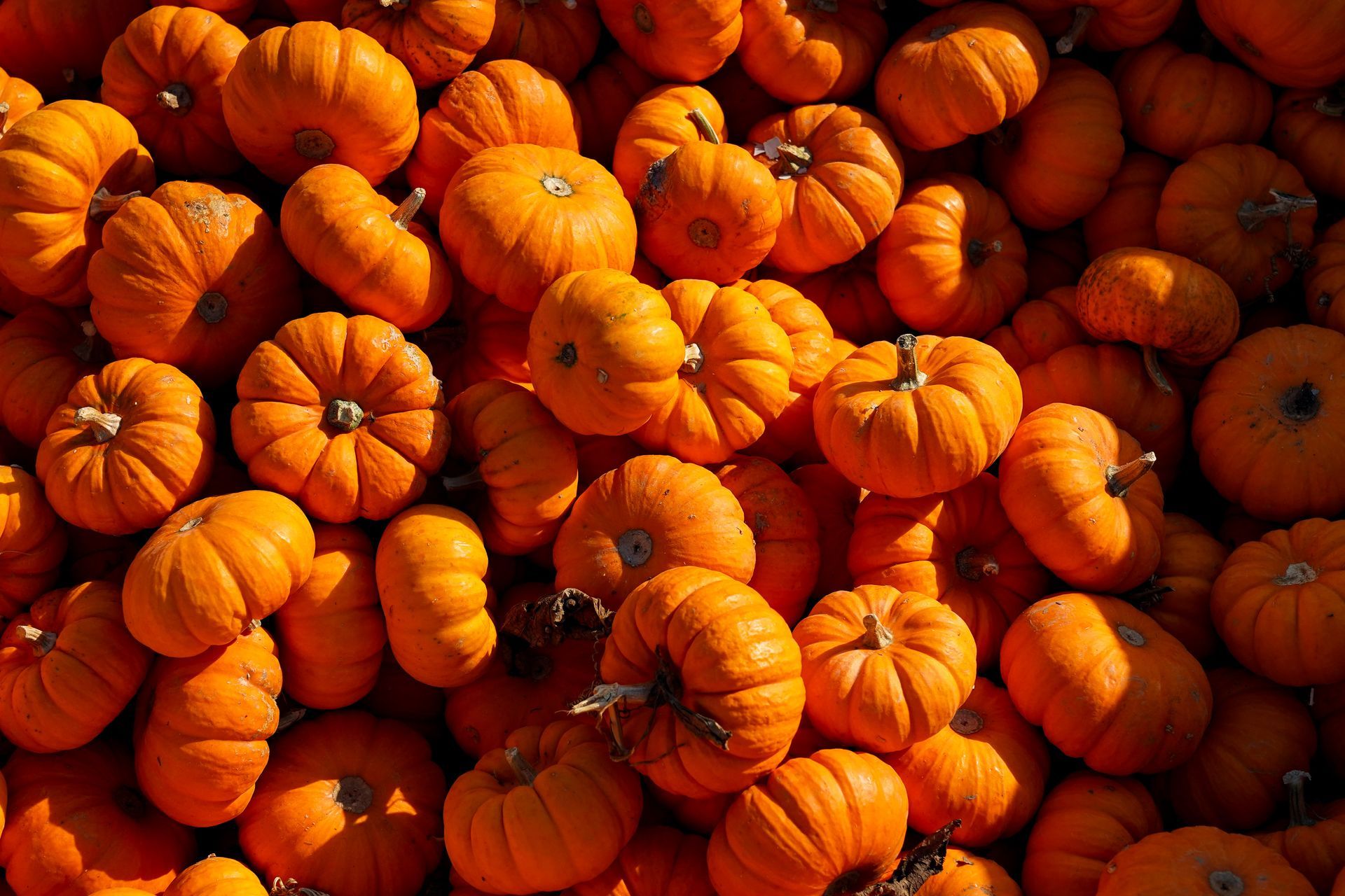 a pile of small pumpkins stacked on top of each other