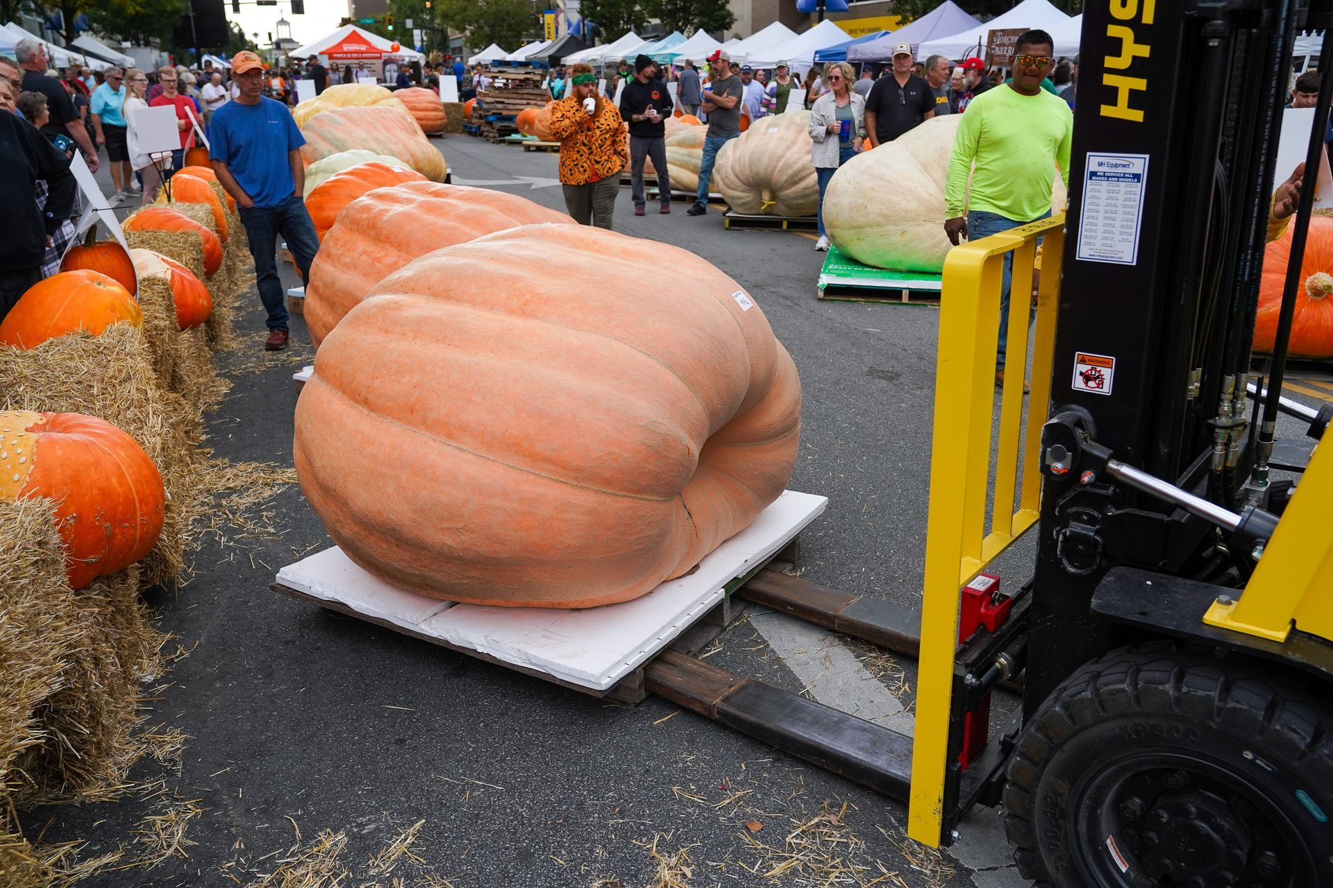 pumpkin being hoist by a forklift
