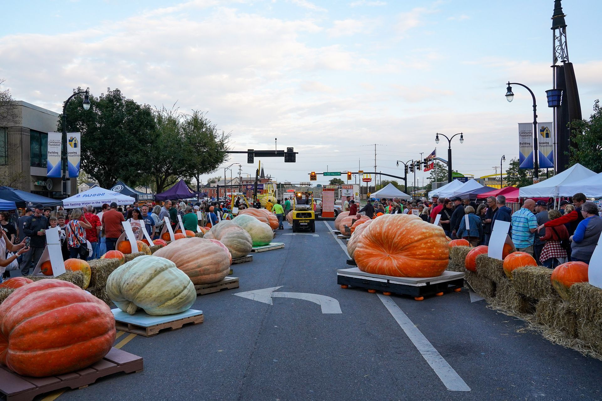 a bunch of pumpkins are lined up on the side of the road