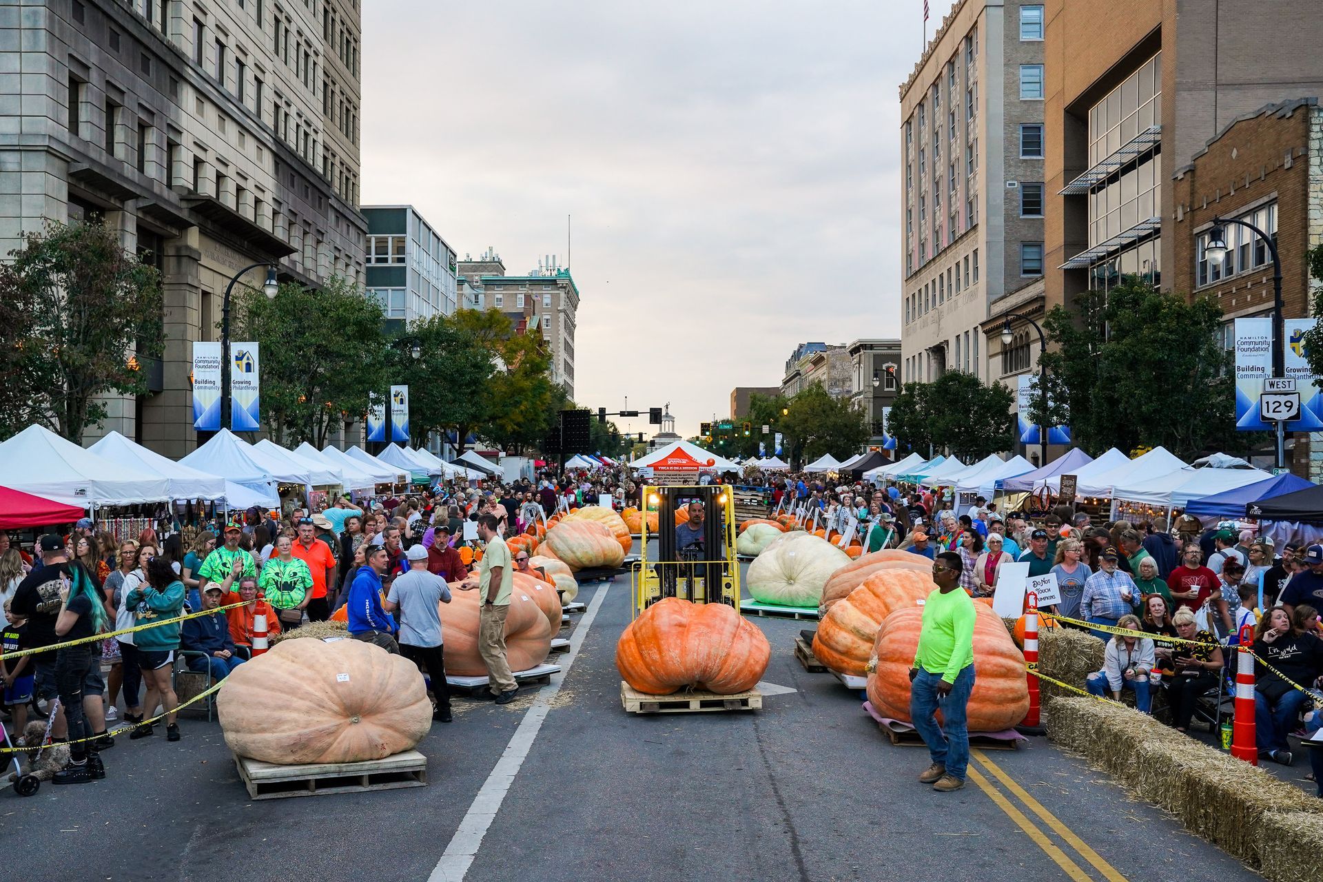 pumpkin festival