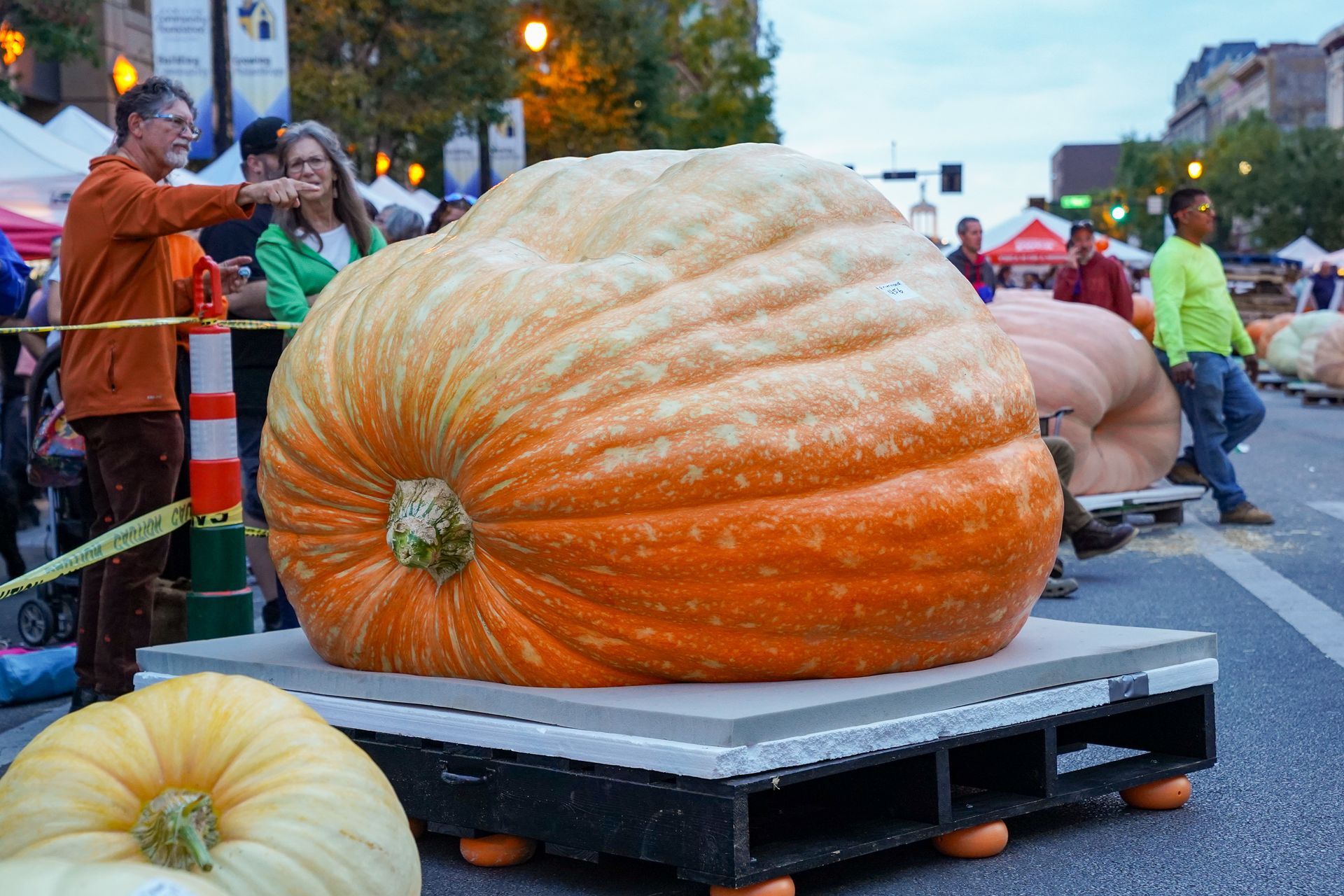 large pumpkin