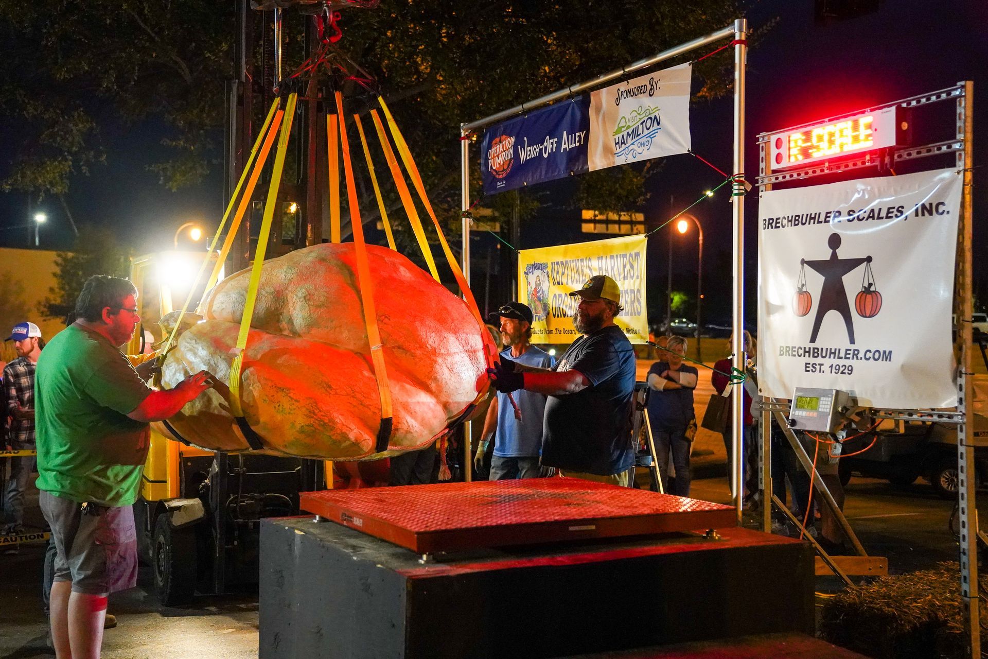 a large pumpkin is being lifted by a crane in front of a sign that says fragile