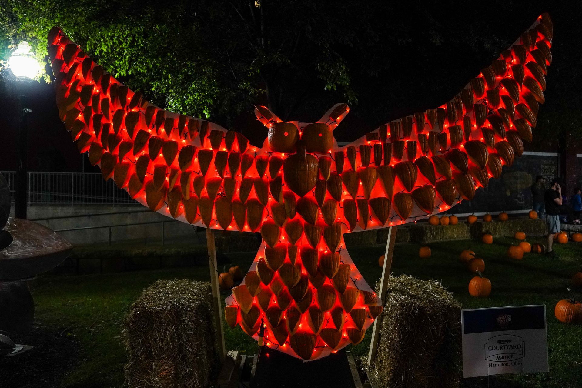 a pumpkin carved into the shape of an owl is lit up at night