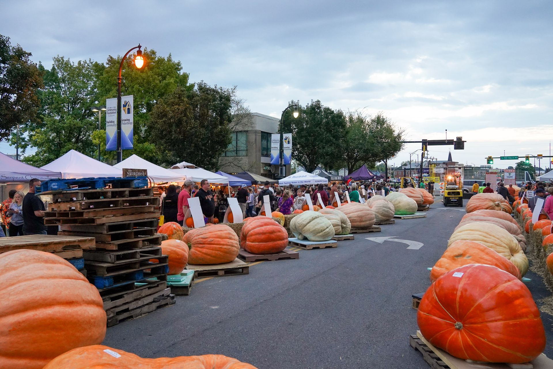 pumpkin festival