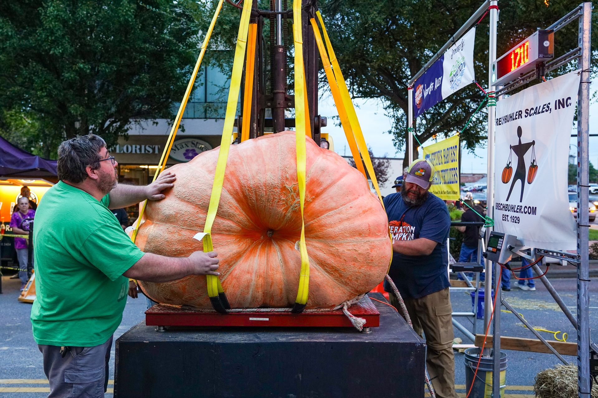 pumpkin weighing