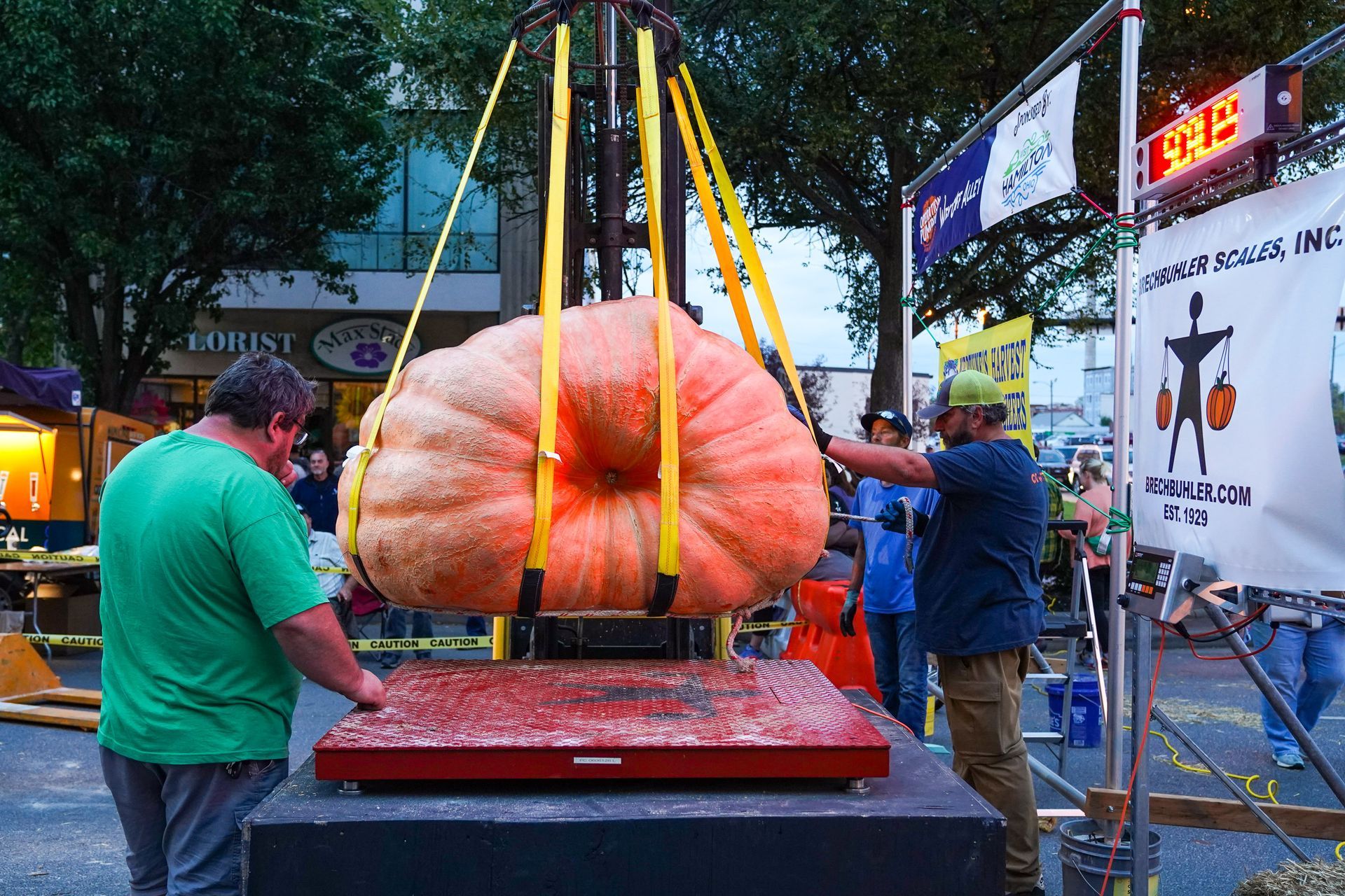 pumpkin weighing