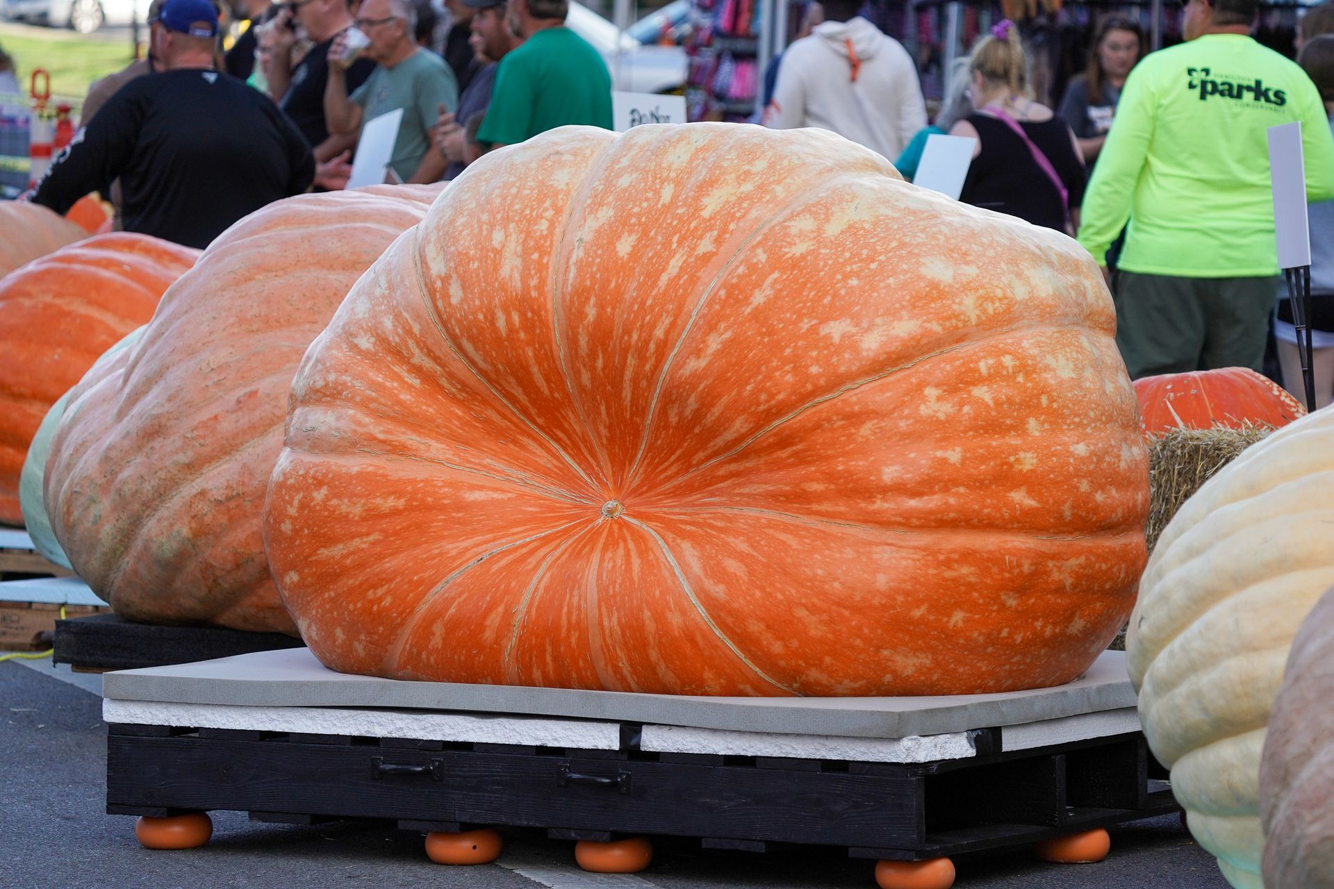 a group of pumpkins are sitting on top of a pallet