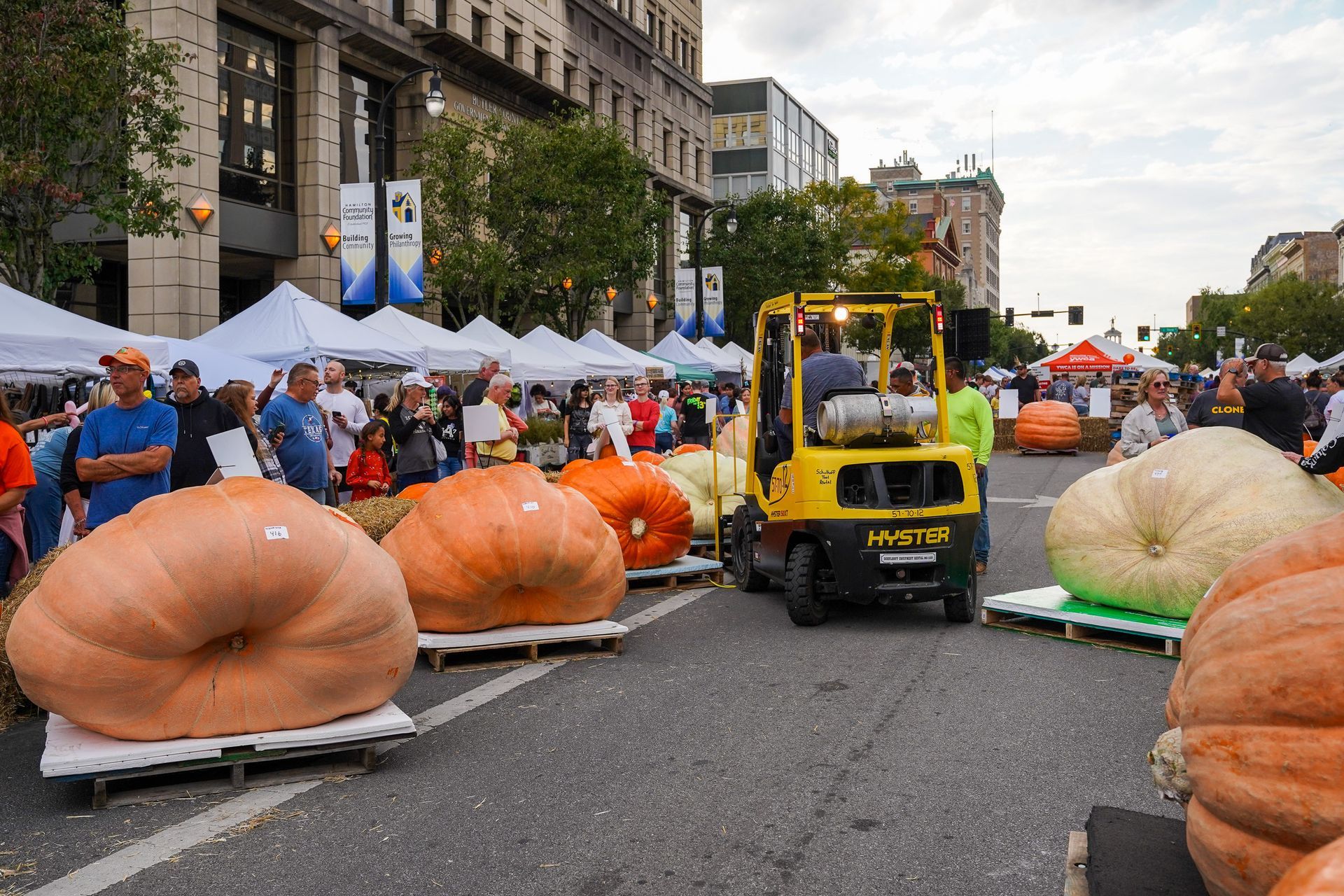 a forklift is driving down a street filled with giant pumpkins