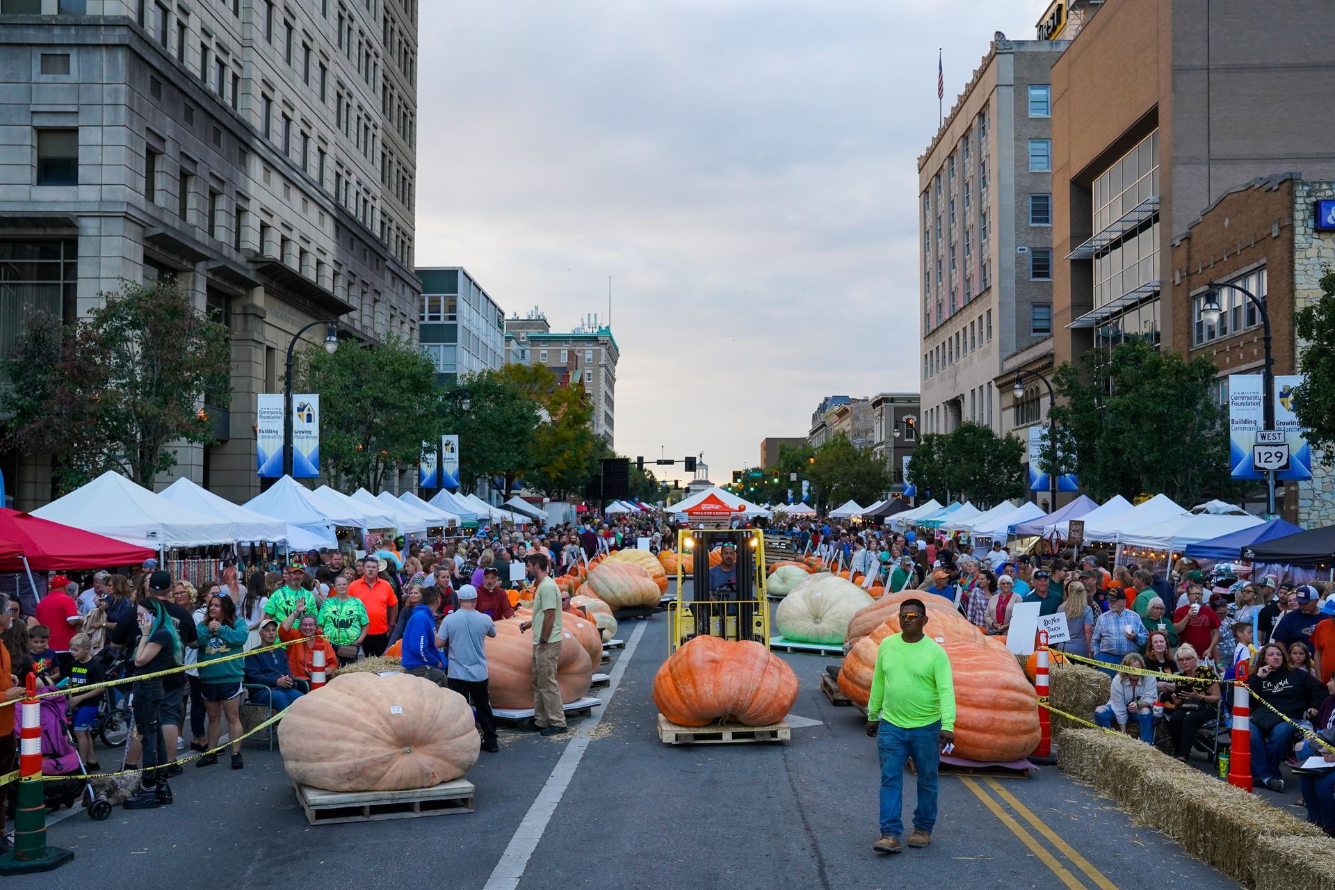 a man in a green shirt is standing in the middle of a street filled with giant pumpkins