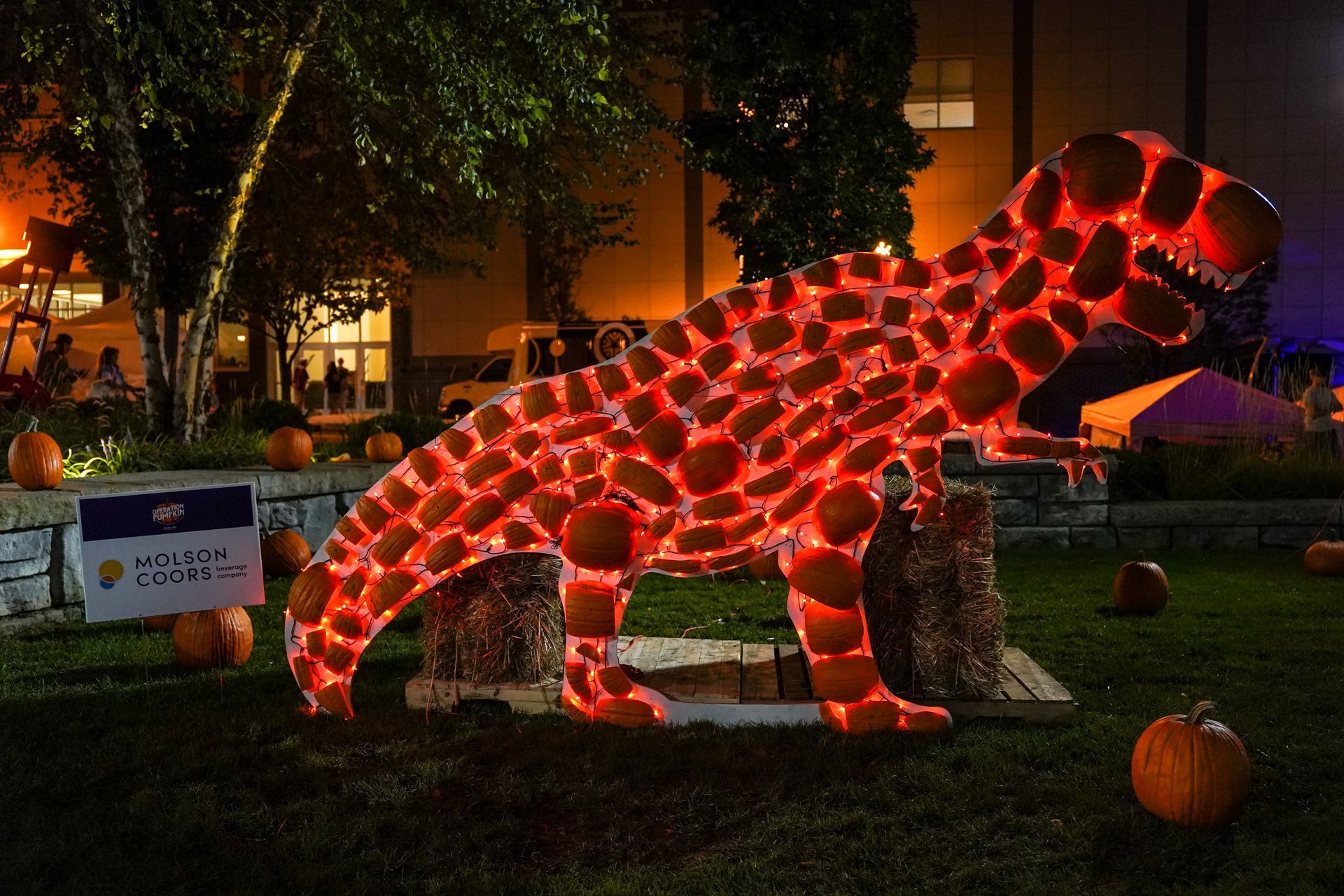 a t-rex made out of pumpkins is lit up at night