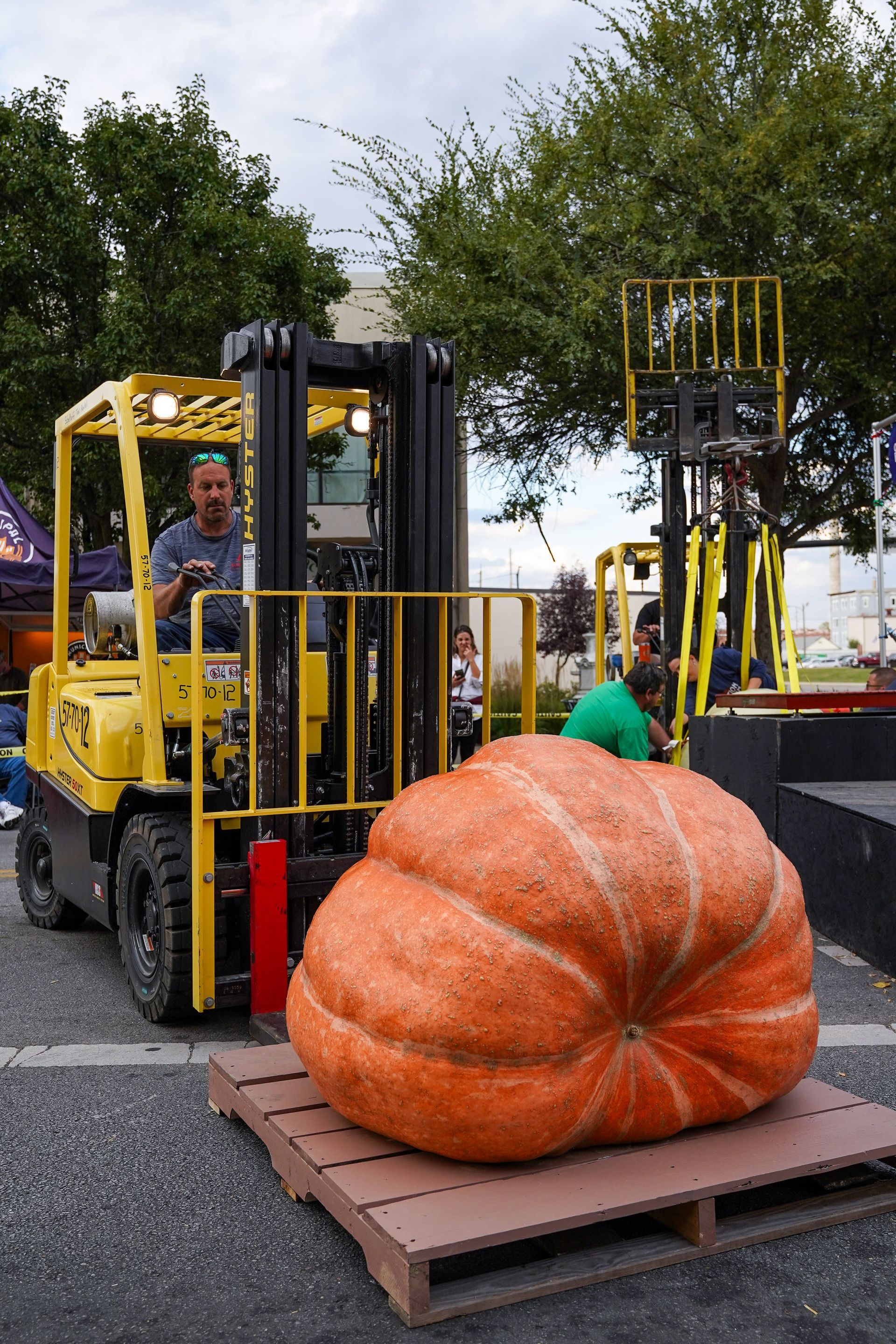 a large pumpkin is sitting on a wooden pallet next to a forklift
