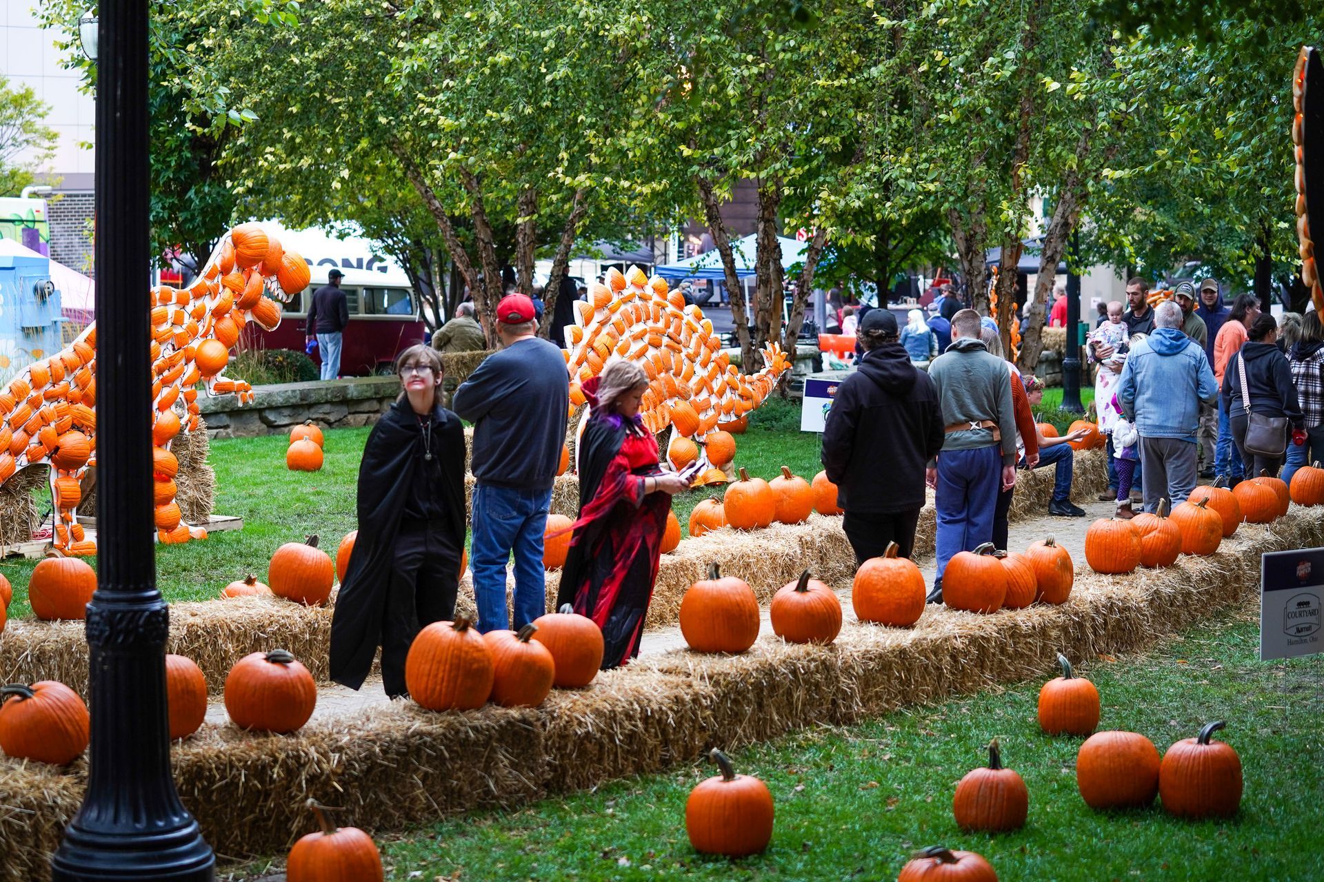 a group of people are standing in a field of pumpkins