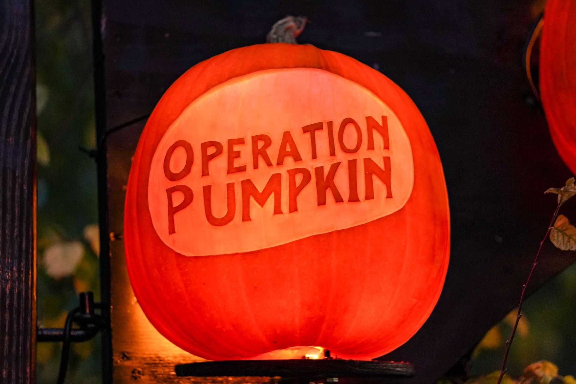 pumpkin saying operation pumpkin