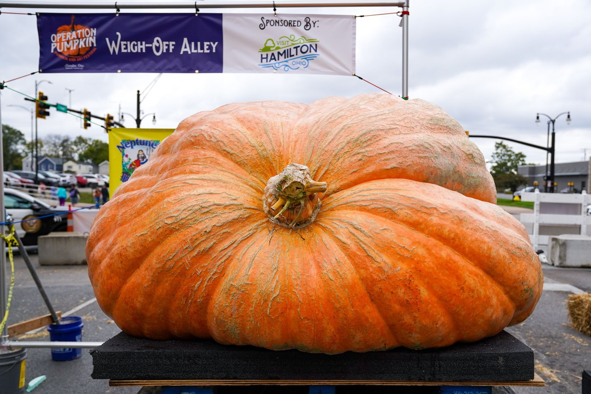 huge pumpkin