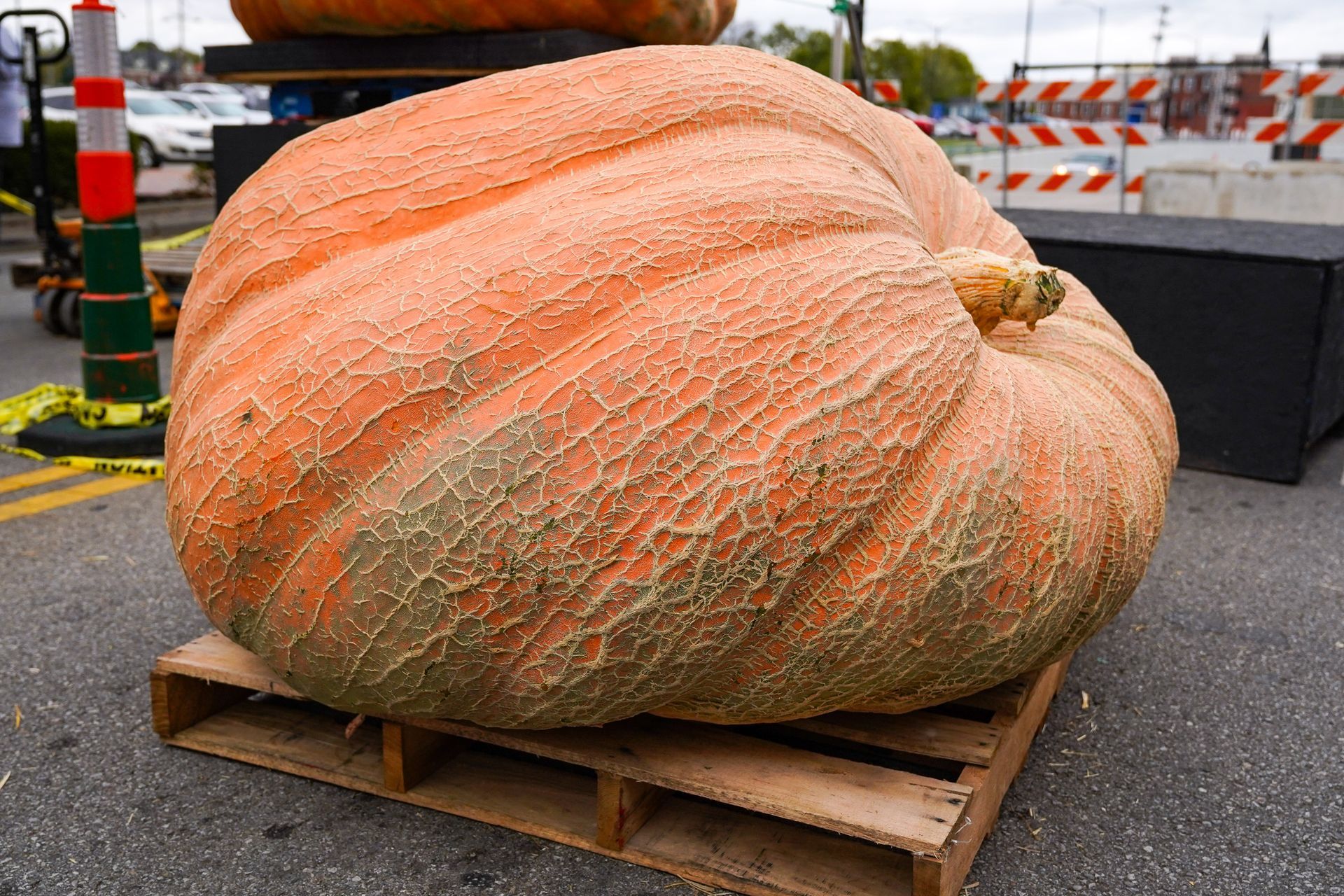 a very large pumpkin