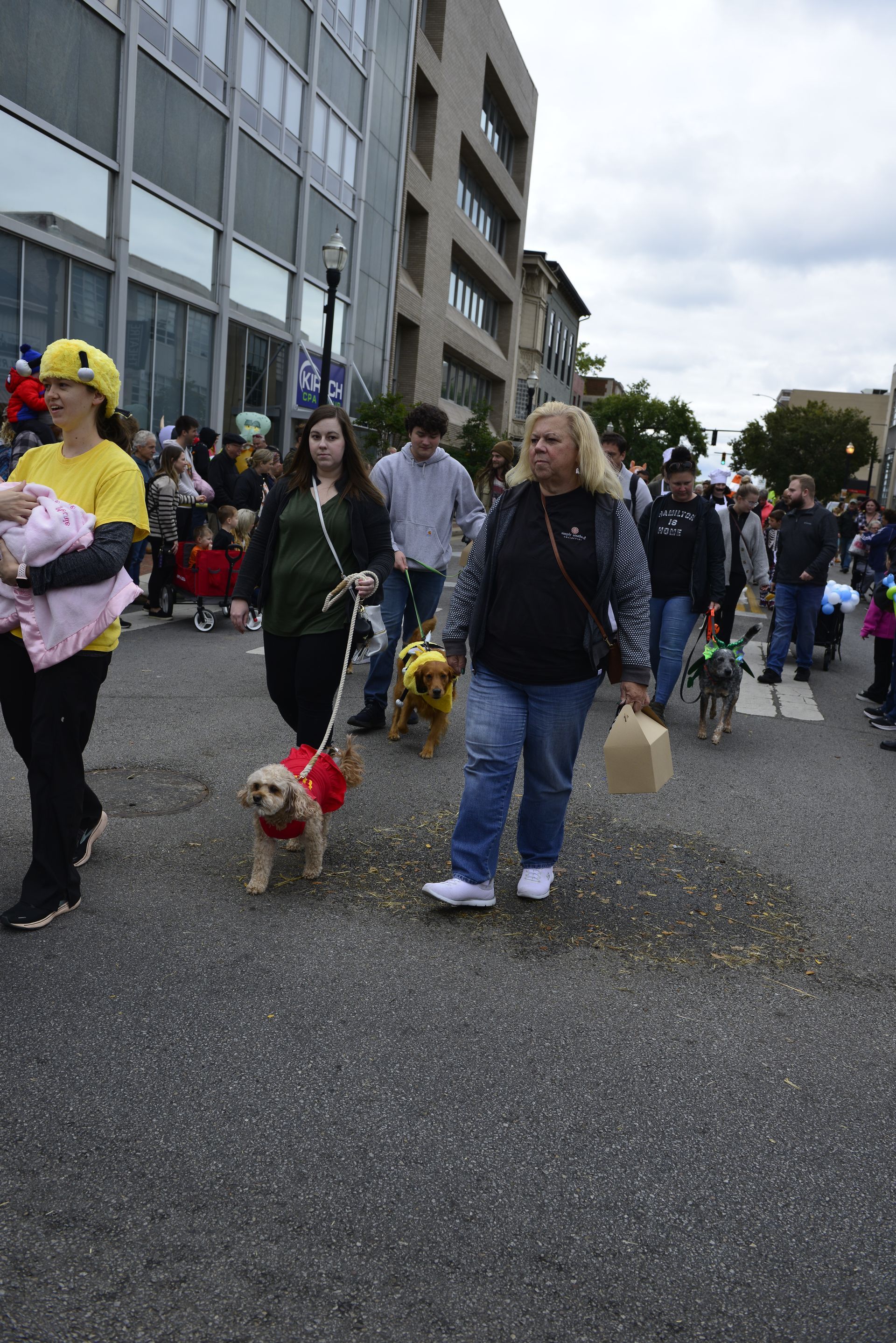 a group of people are walking their dogs down a street