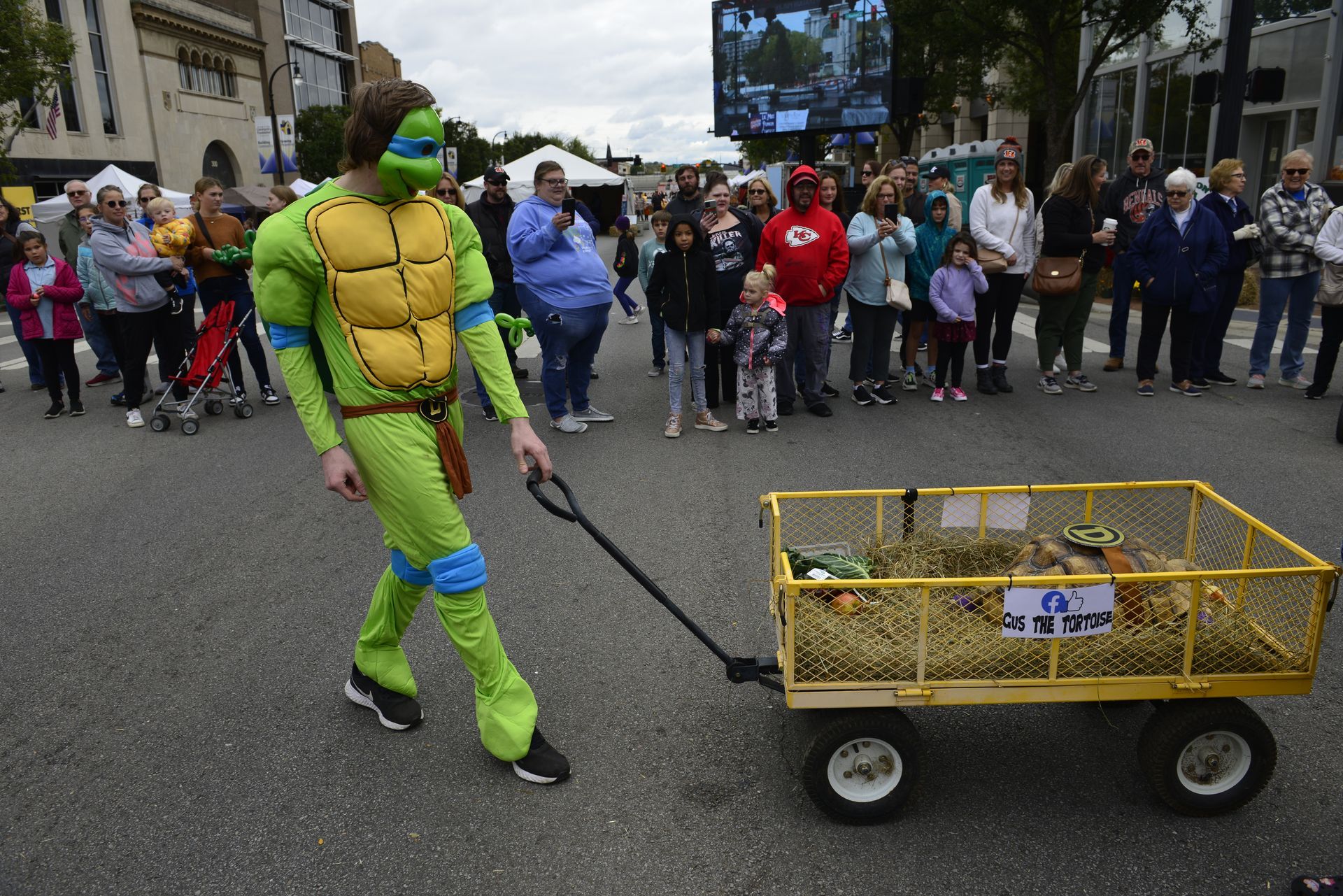 a man dressed as a teenage mutant ninja turtle is pulling a wagon filled with hay