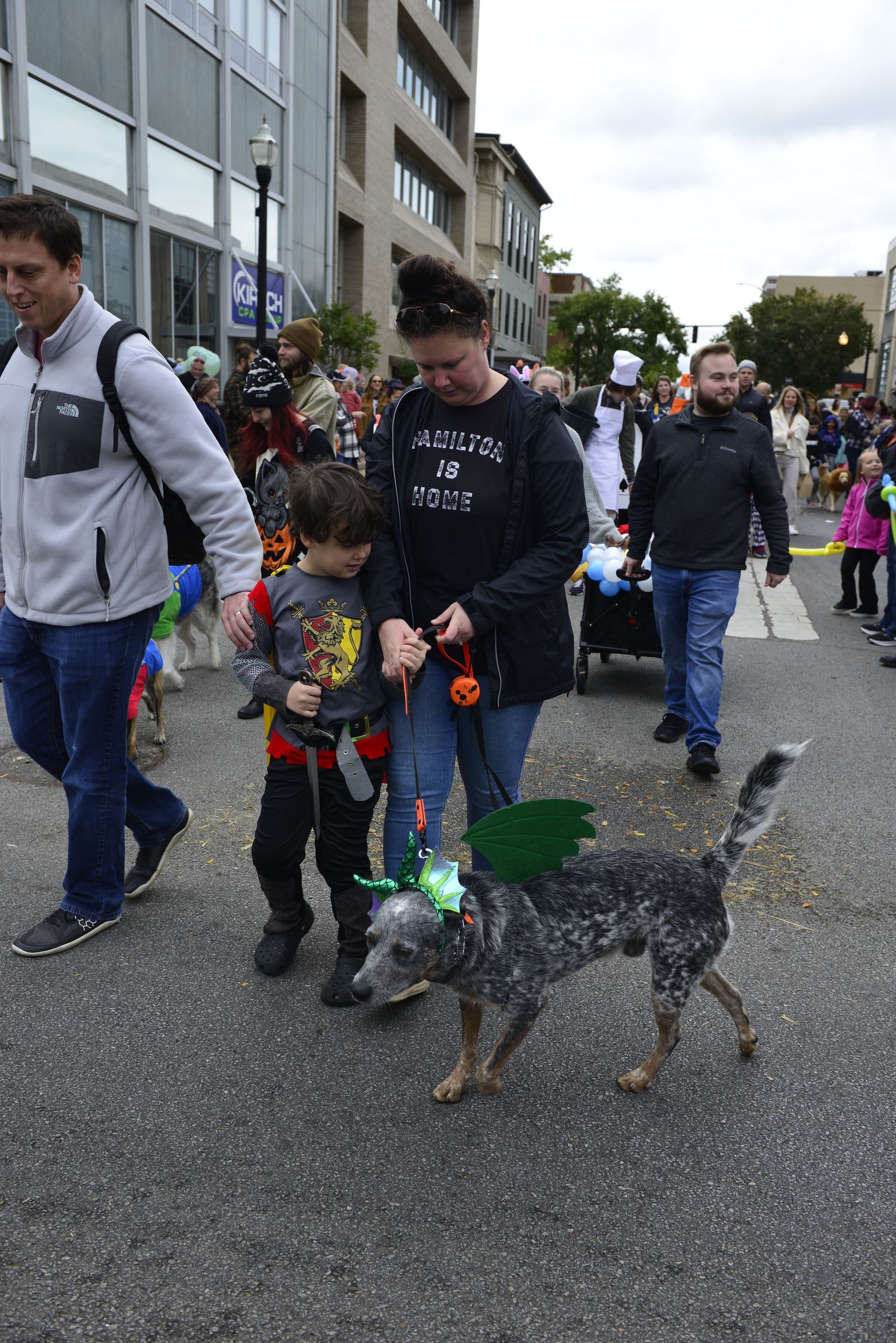 a group of people are walking a dog down a street