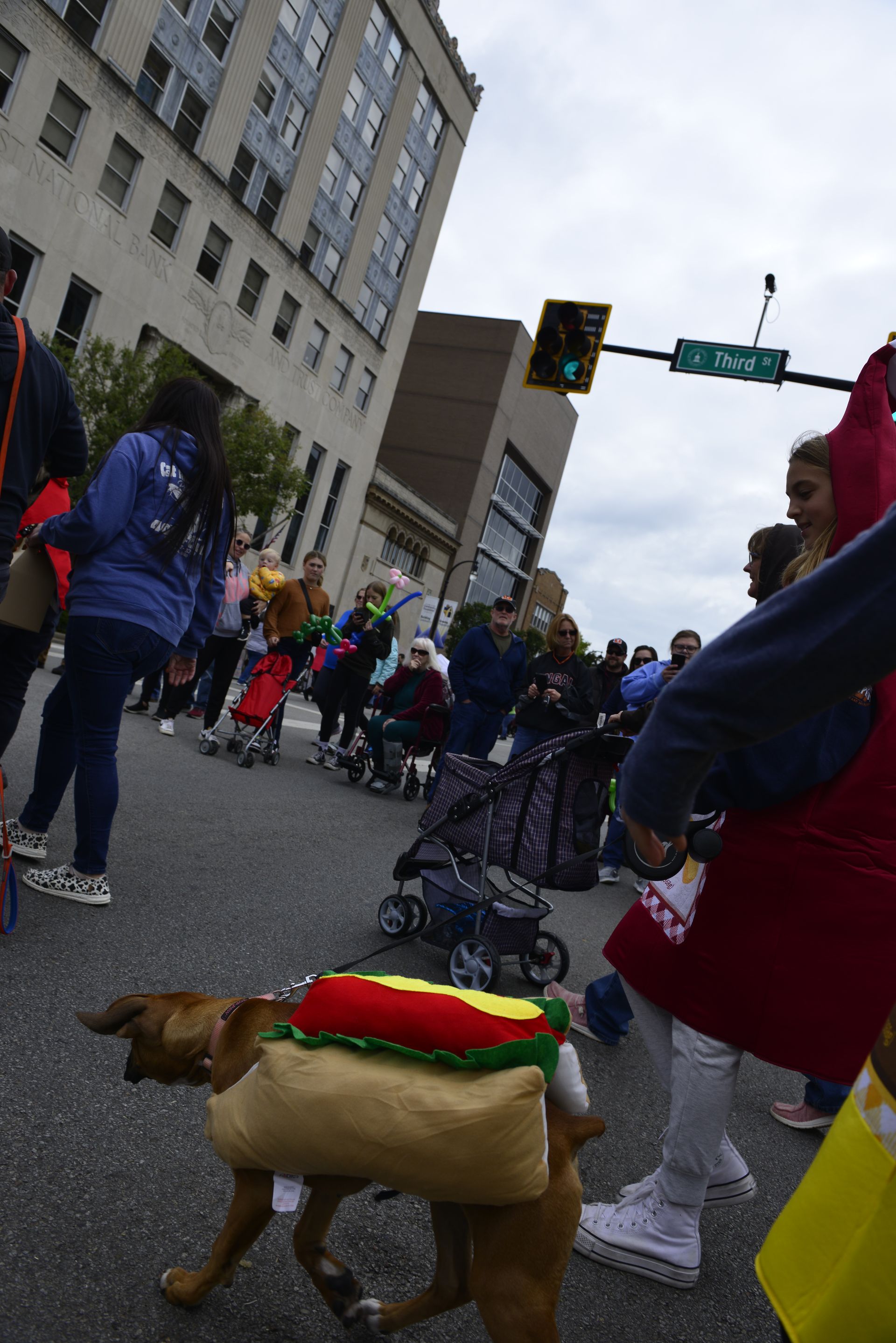 a dog dressed as a hot dog is walking down the street