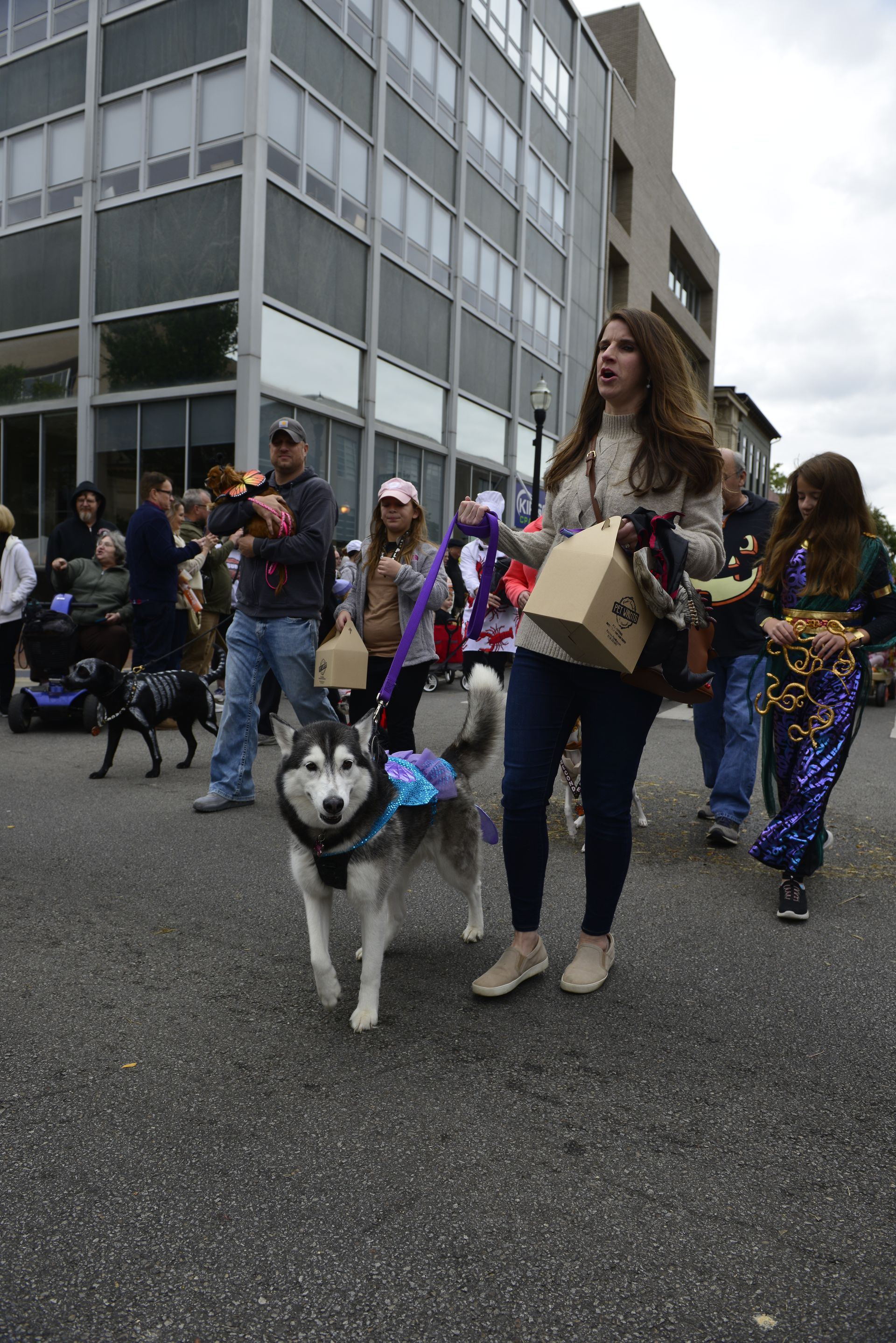 a group of people are walking a husky dog down a street