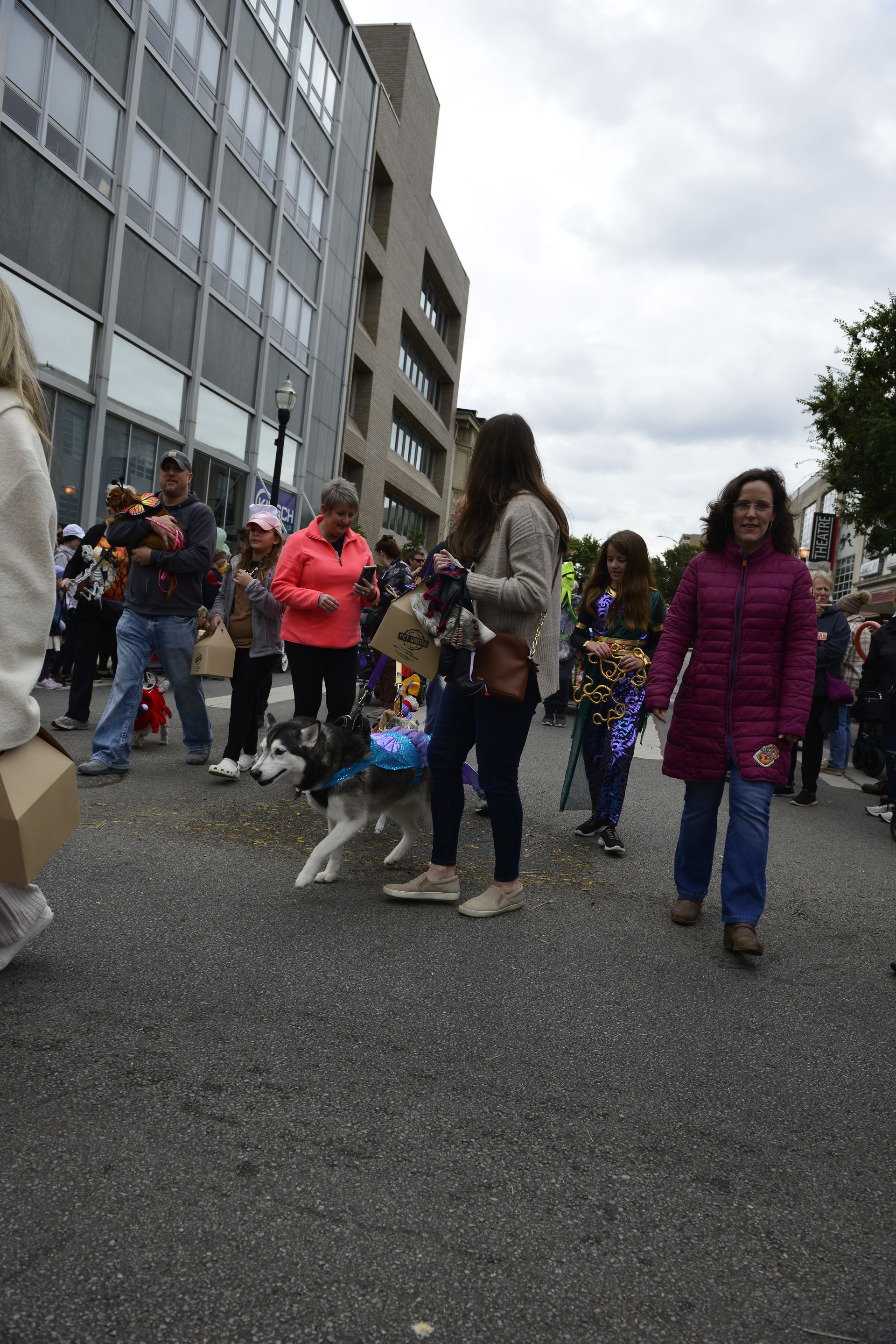 a group of people are walking down a street with a dog