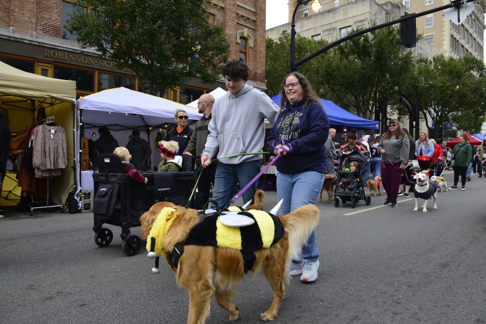a man and woman are walking a dog in a bee costume