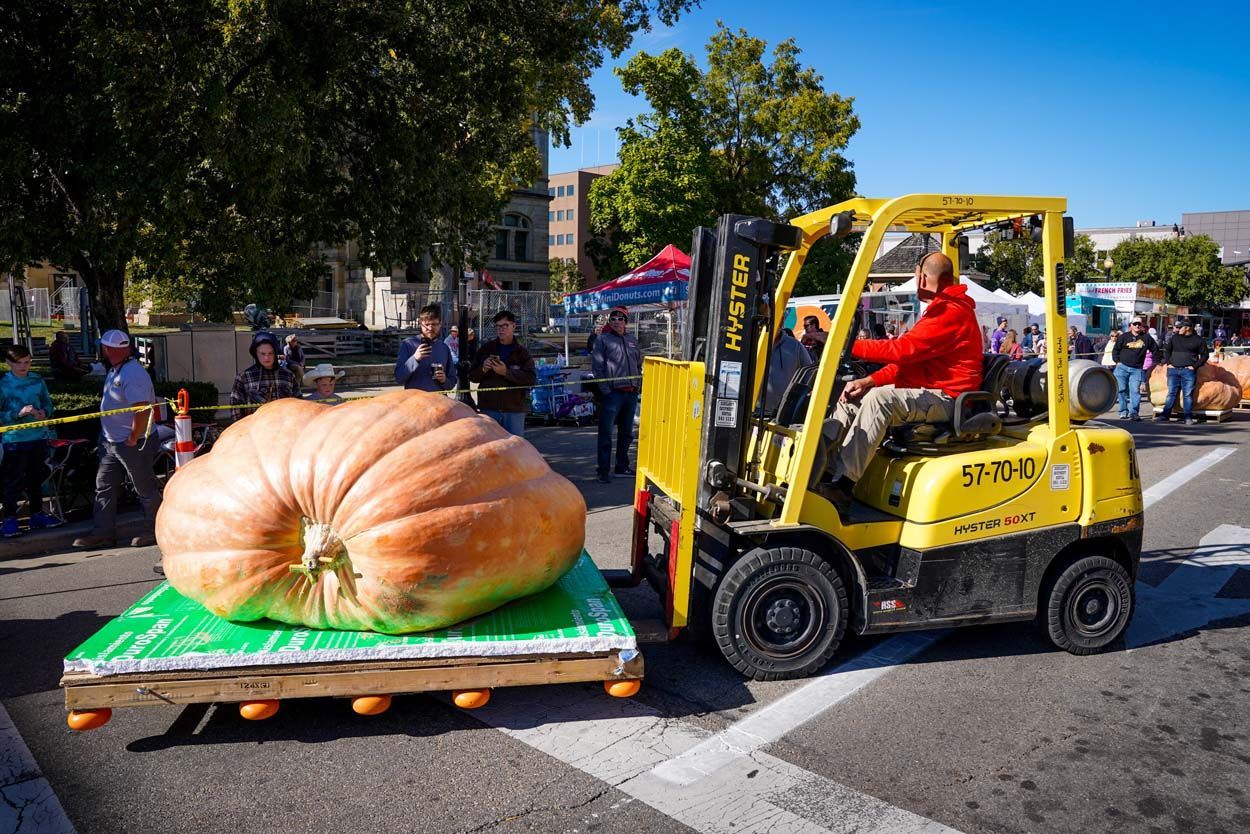 Pumpkin in Forklift
