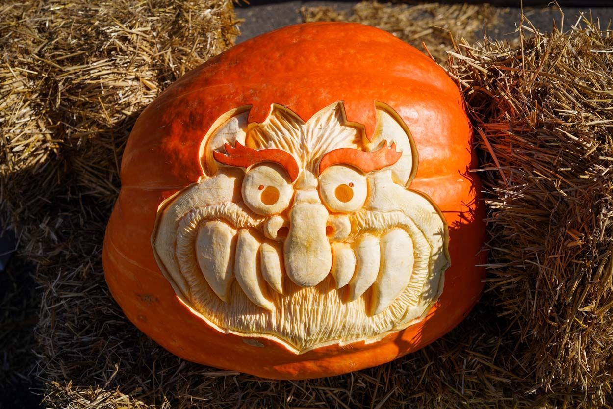 Tazmania pumpkin design