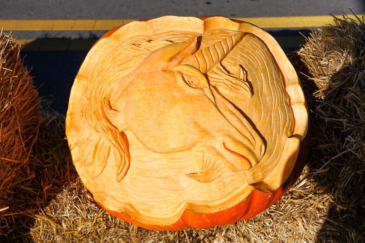 Pumpkin with curvings