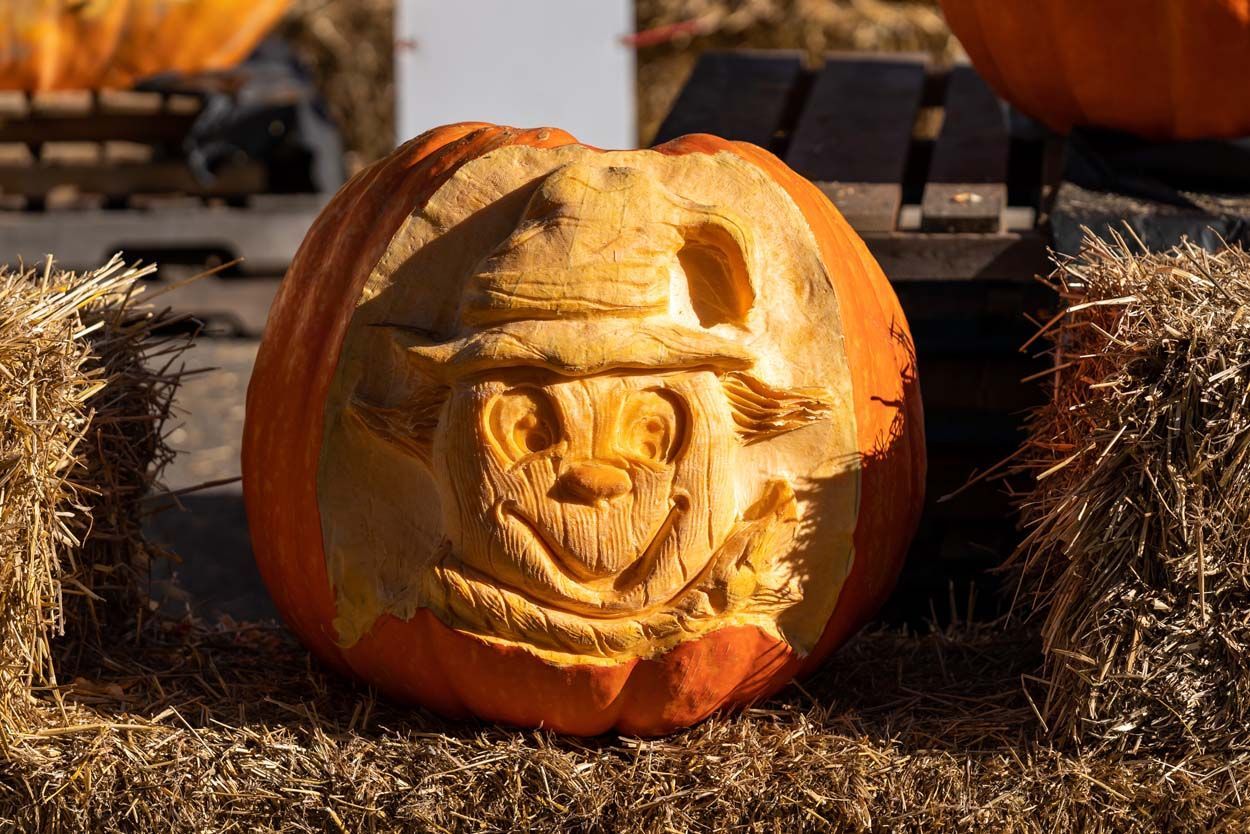 Scarecrow pumpkin design