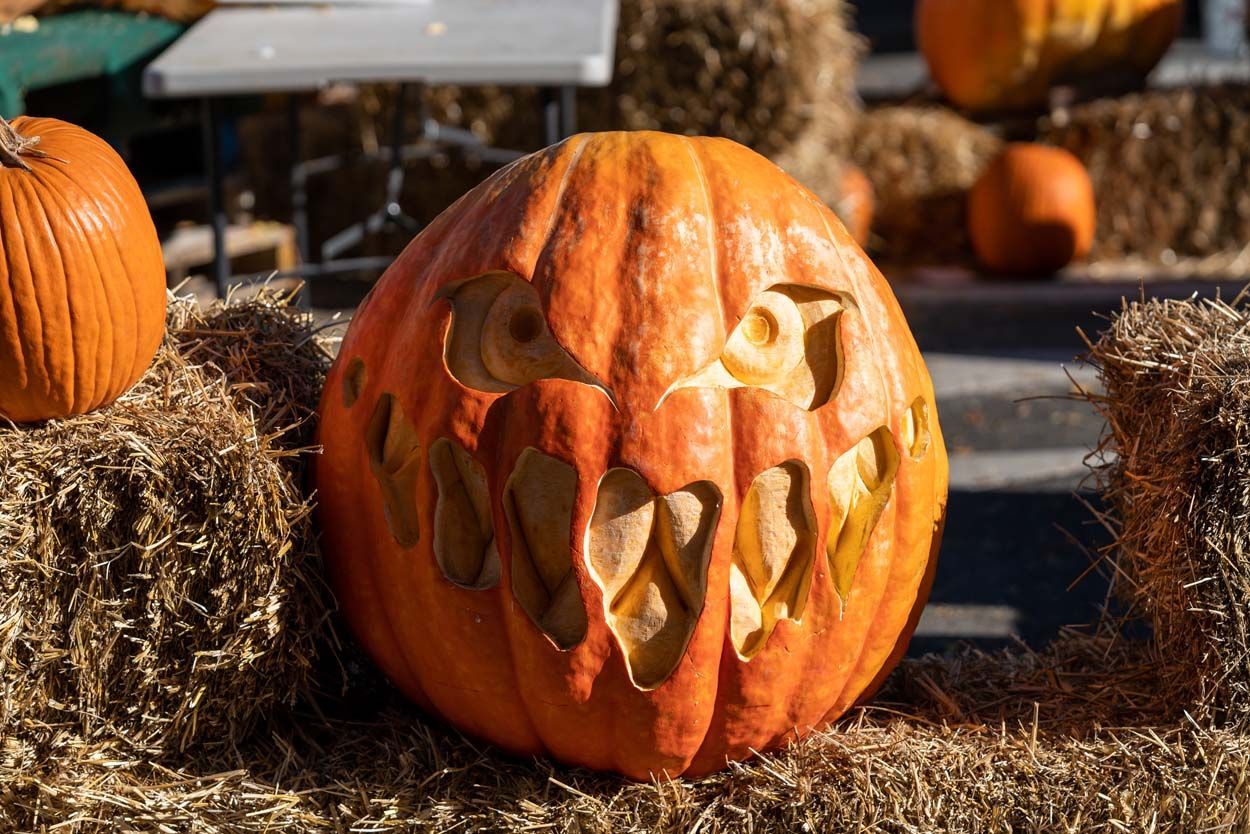 Pumpkin sculpture