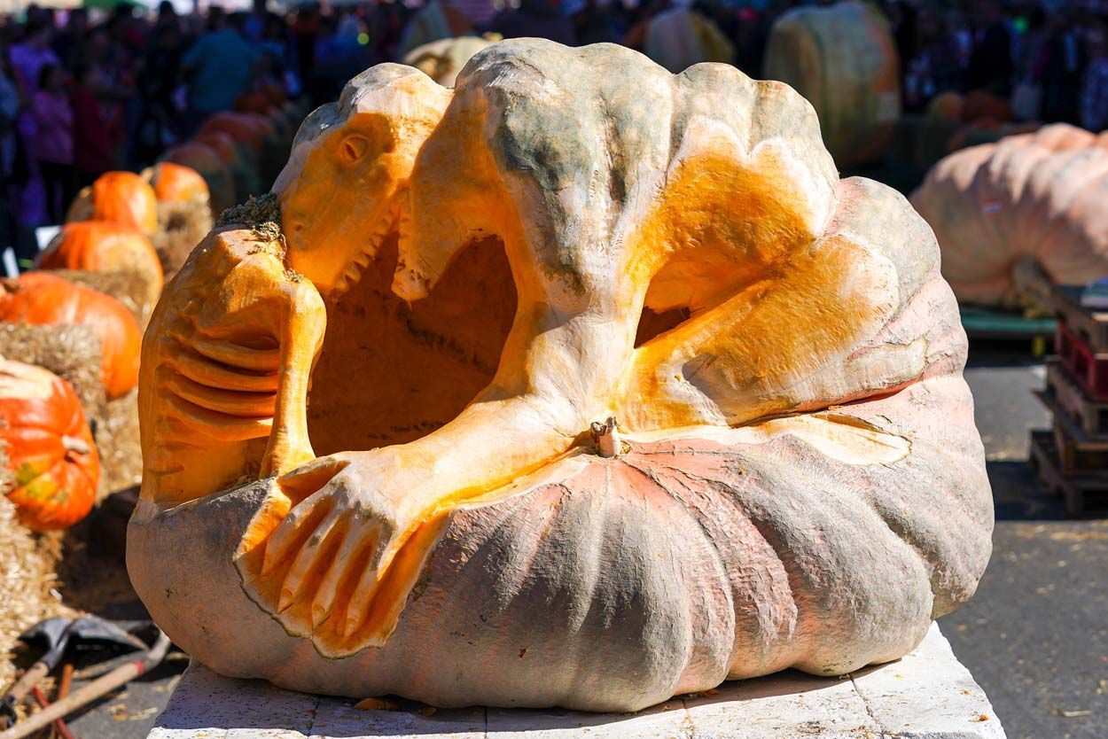 Dinosaur pumpkin