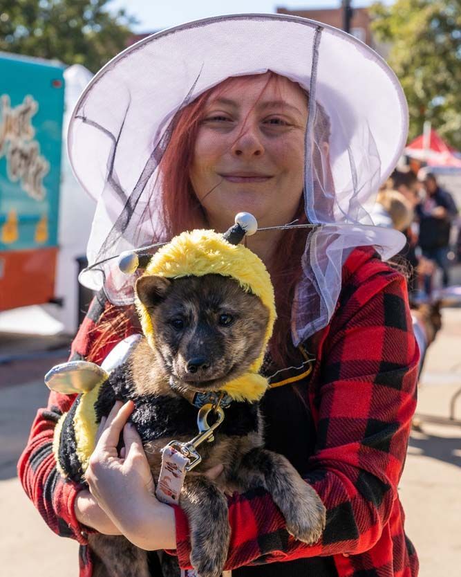 Dog with yellow headband