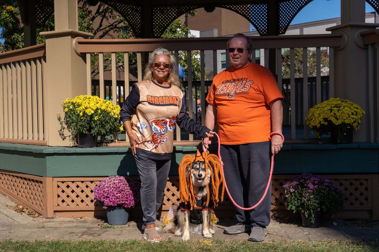 Dog with orange hair