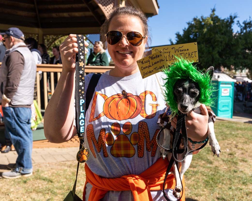Pet Parade green hair dog
