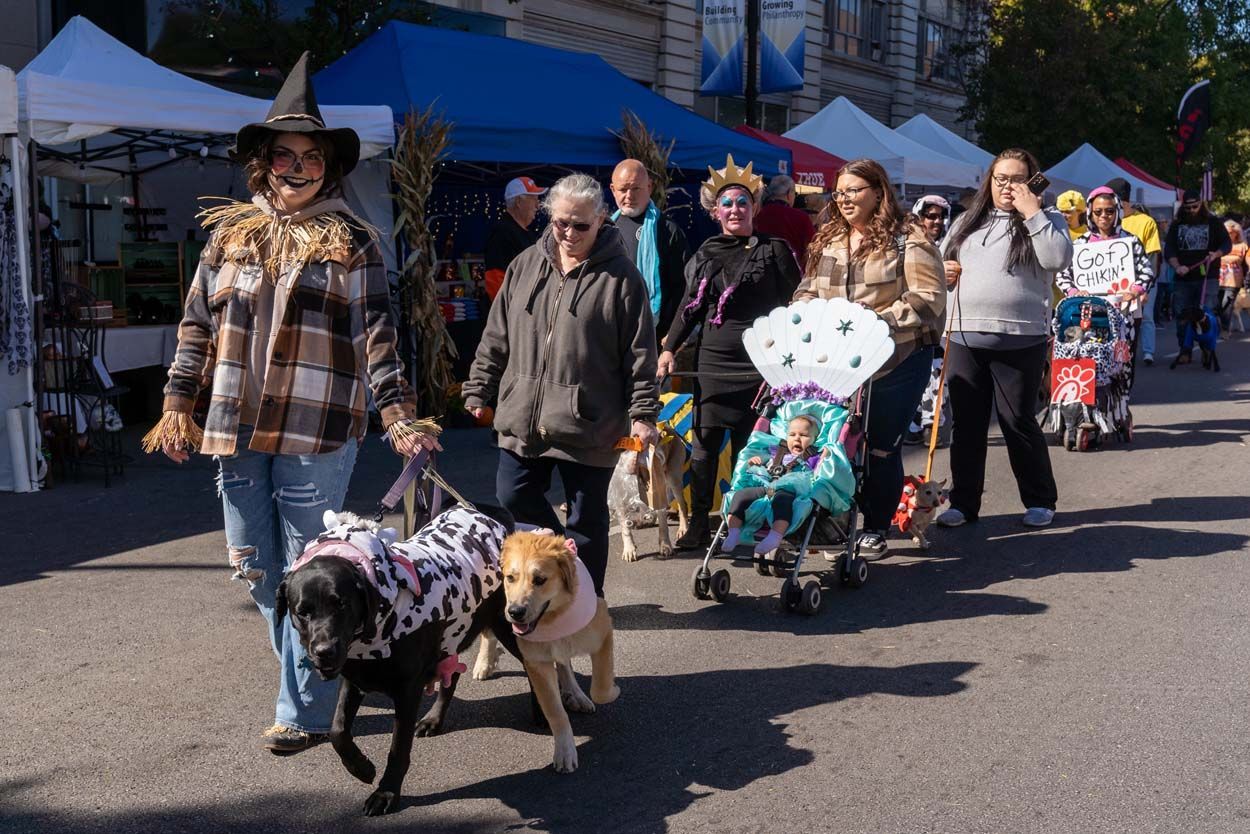 Fall Festival Operation Pumpkin Pumpkin and Art Festival Hamilton OH