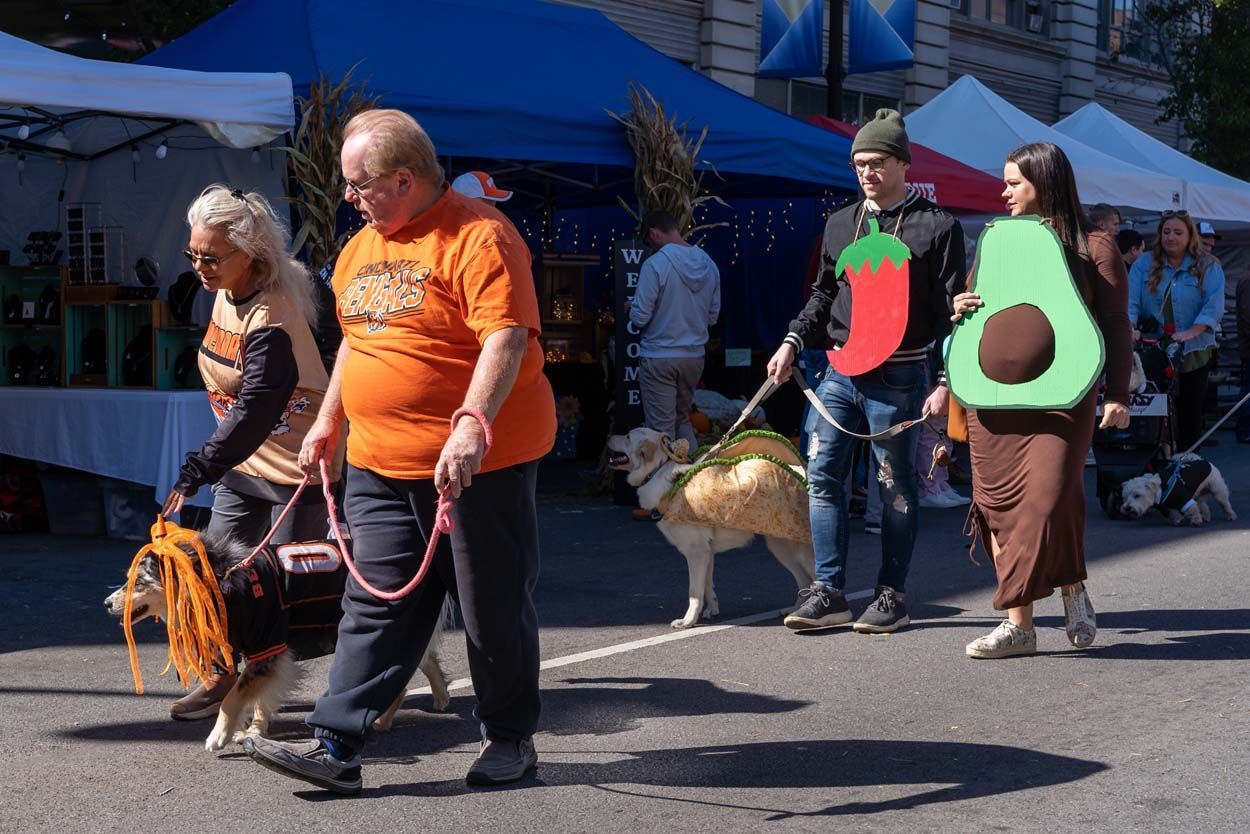 Pet Parade