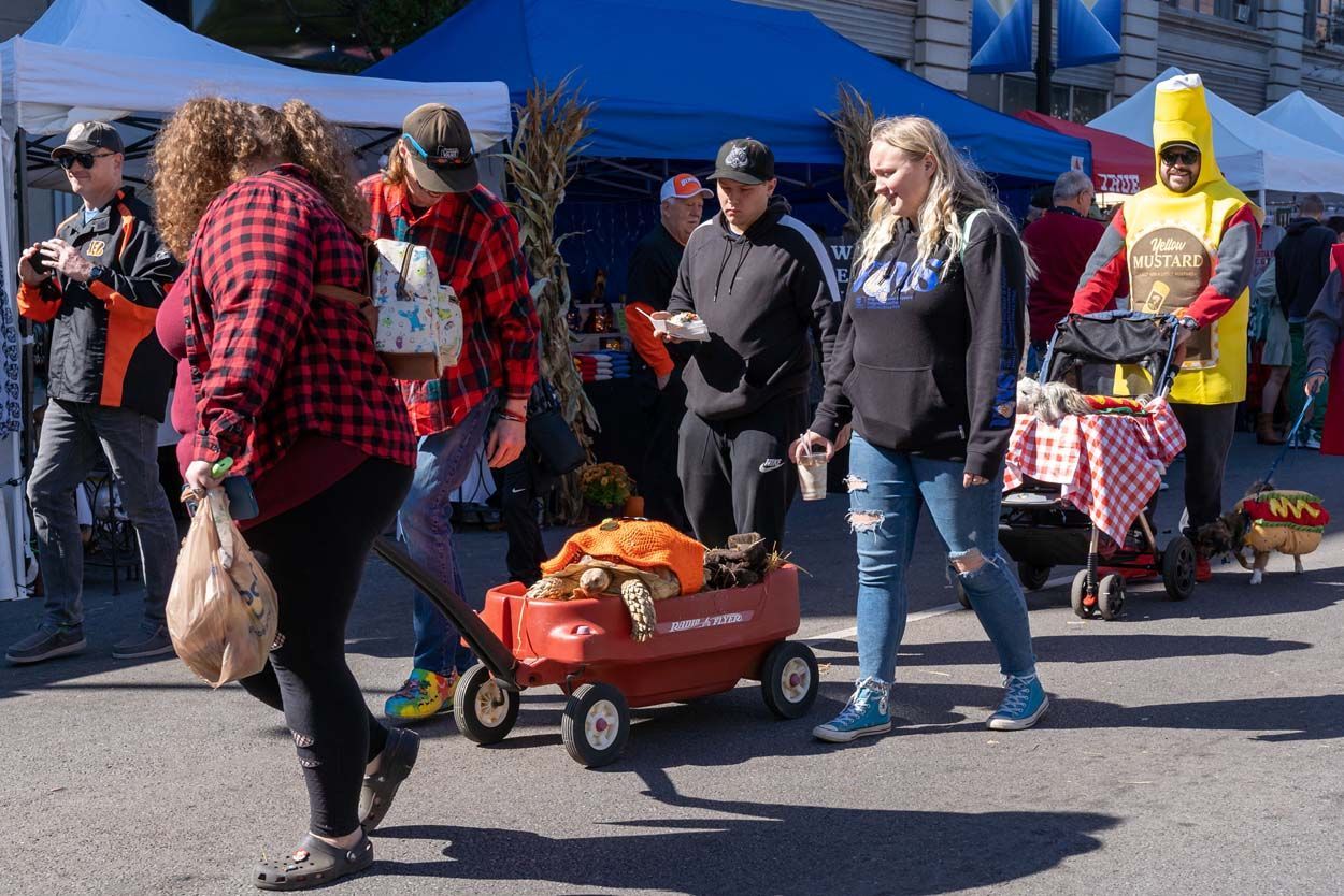 Pet Parade with torftoise
