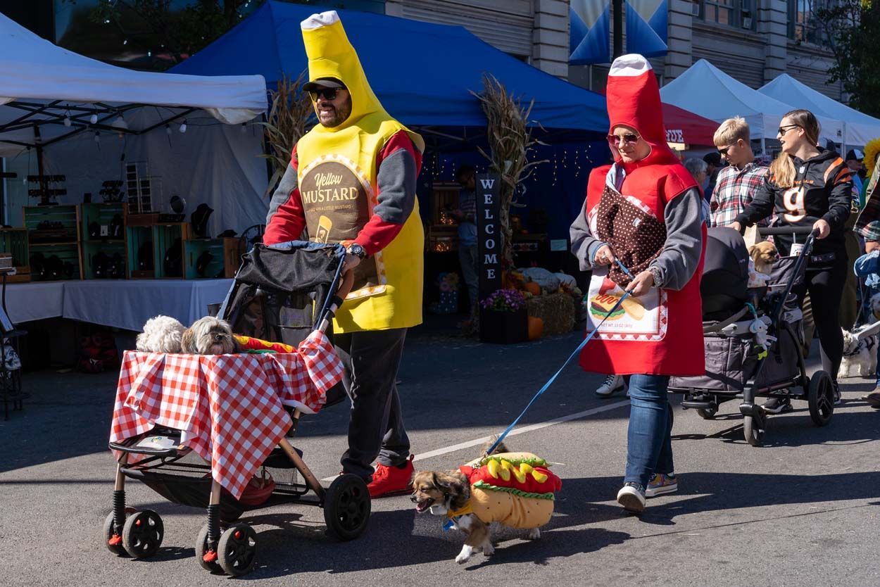 Pet Parade with catsup and mustard custome