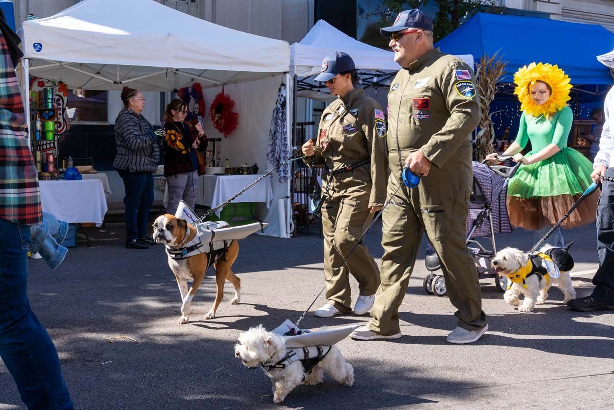 Pet Parade with military custome