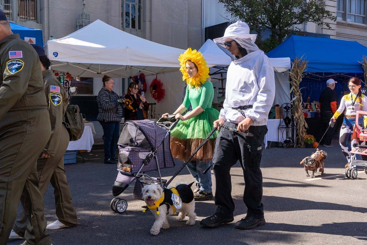 Pet Parade with sunflower custome