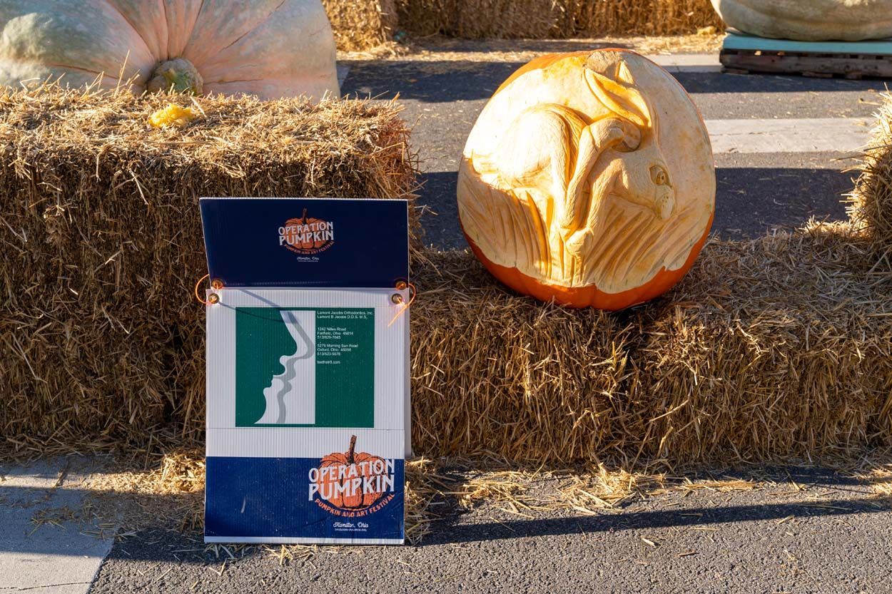 Rabbit pumpkin design