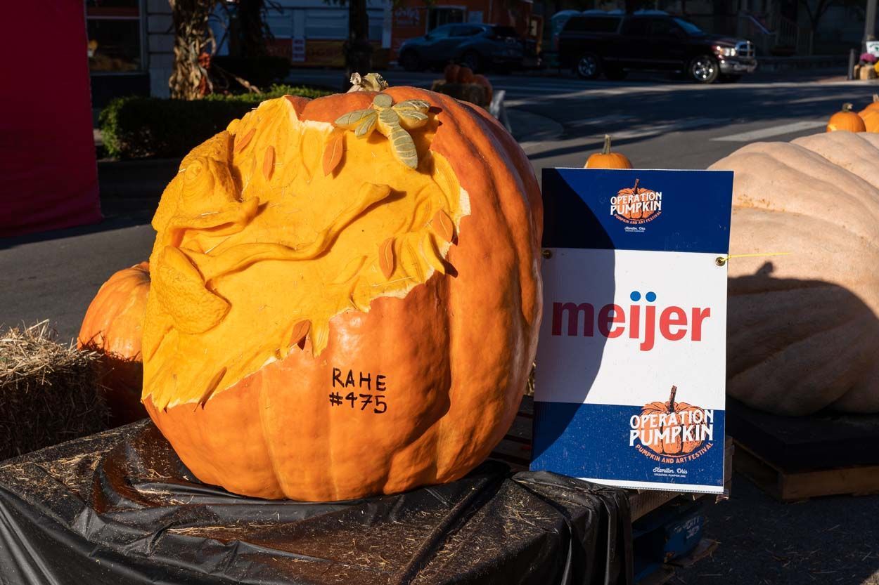 Meijer pumpkin design