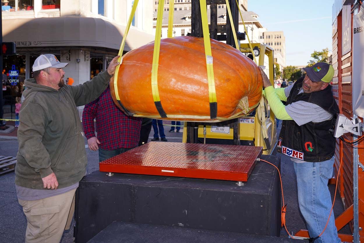 Pumpkin being lifted